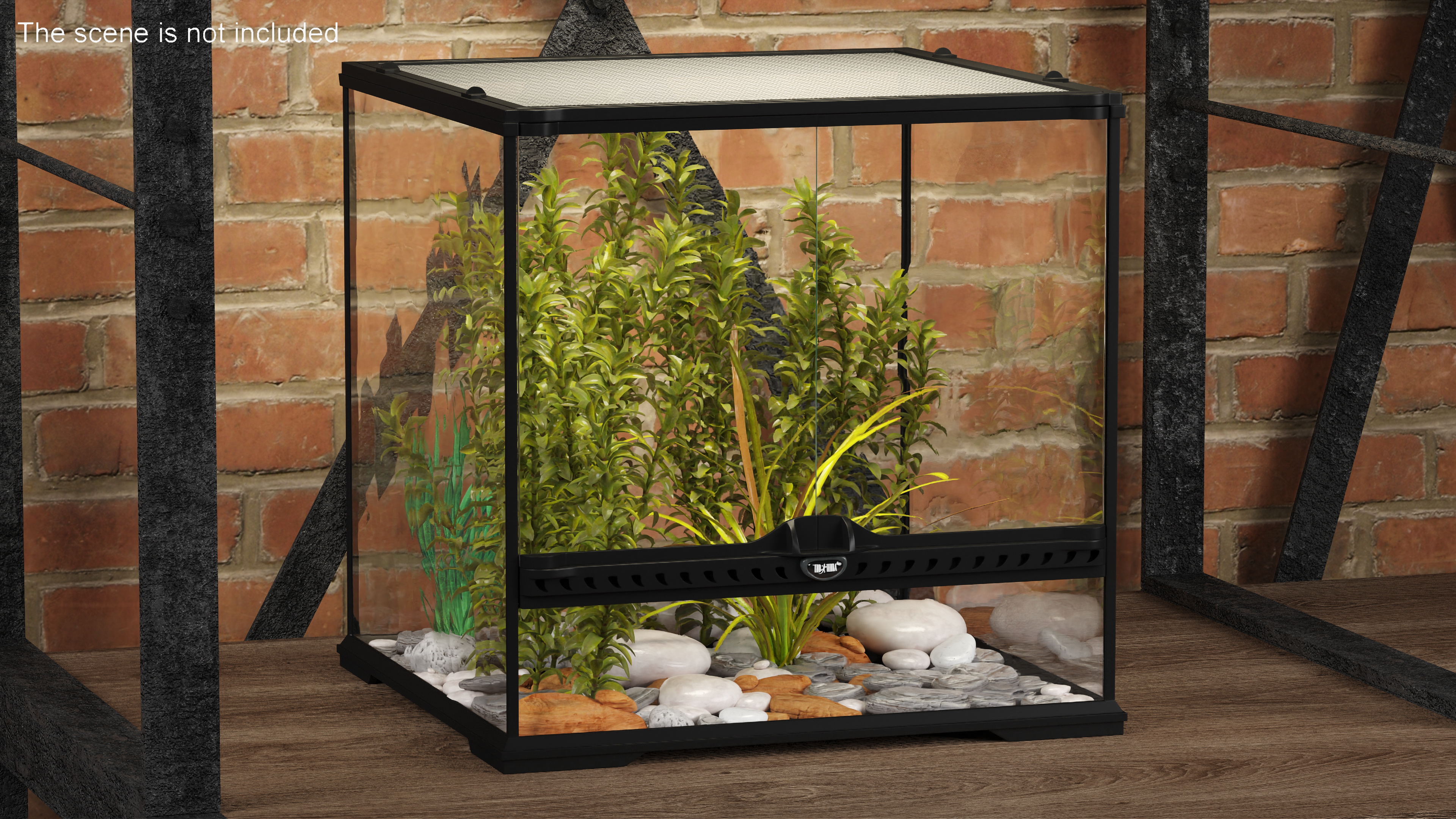 3D Small Cubic Terrarium with Plants model