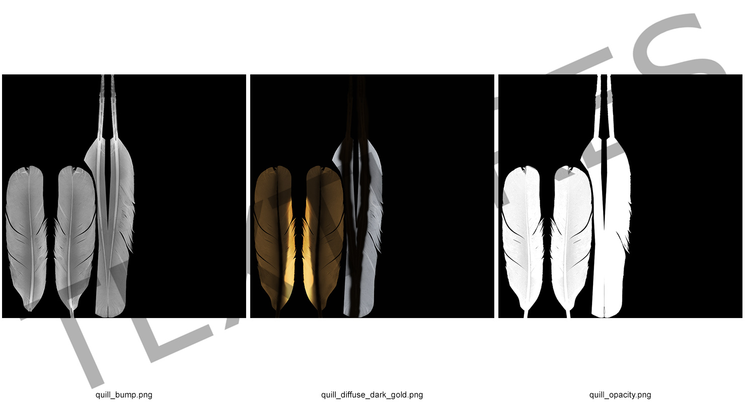 3D Dark Gold Goose Feather model