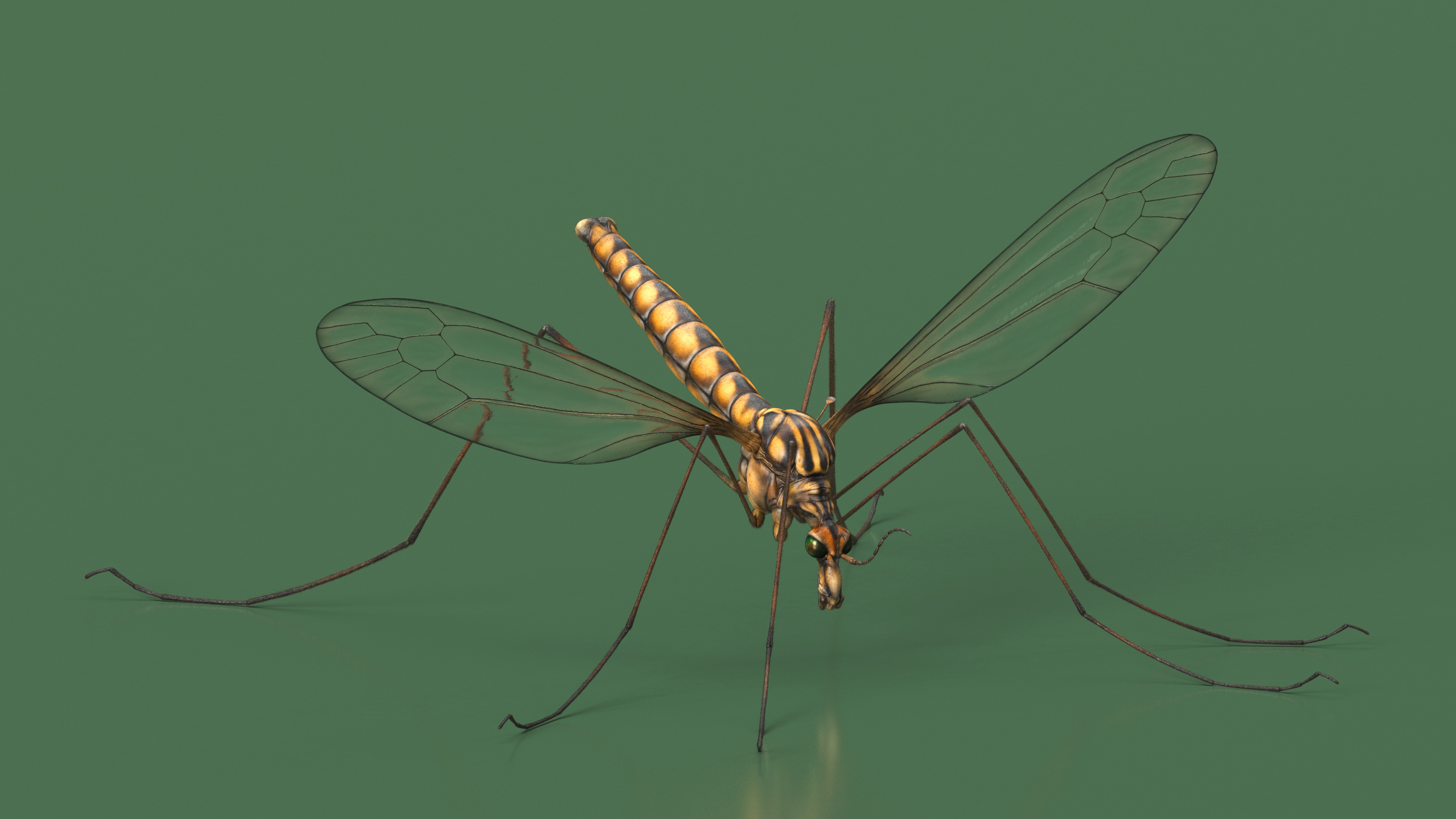 3D model Crane Fly Fur Rigged