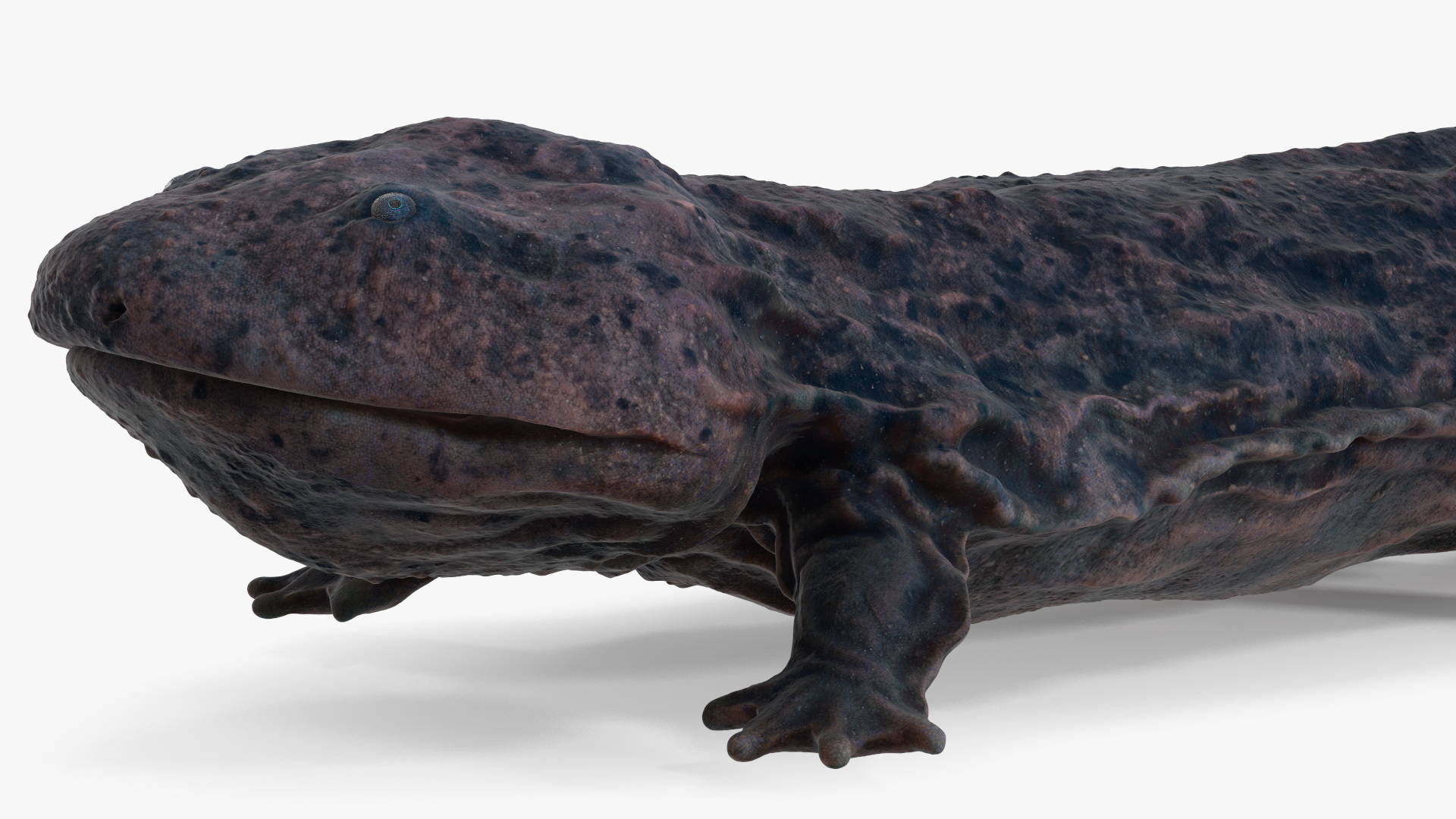 3D model Salamander Dark