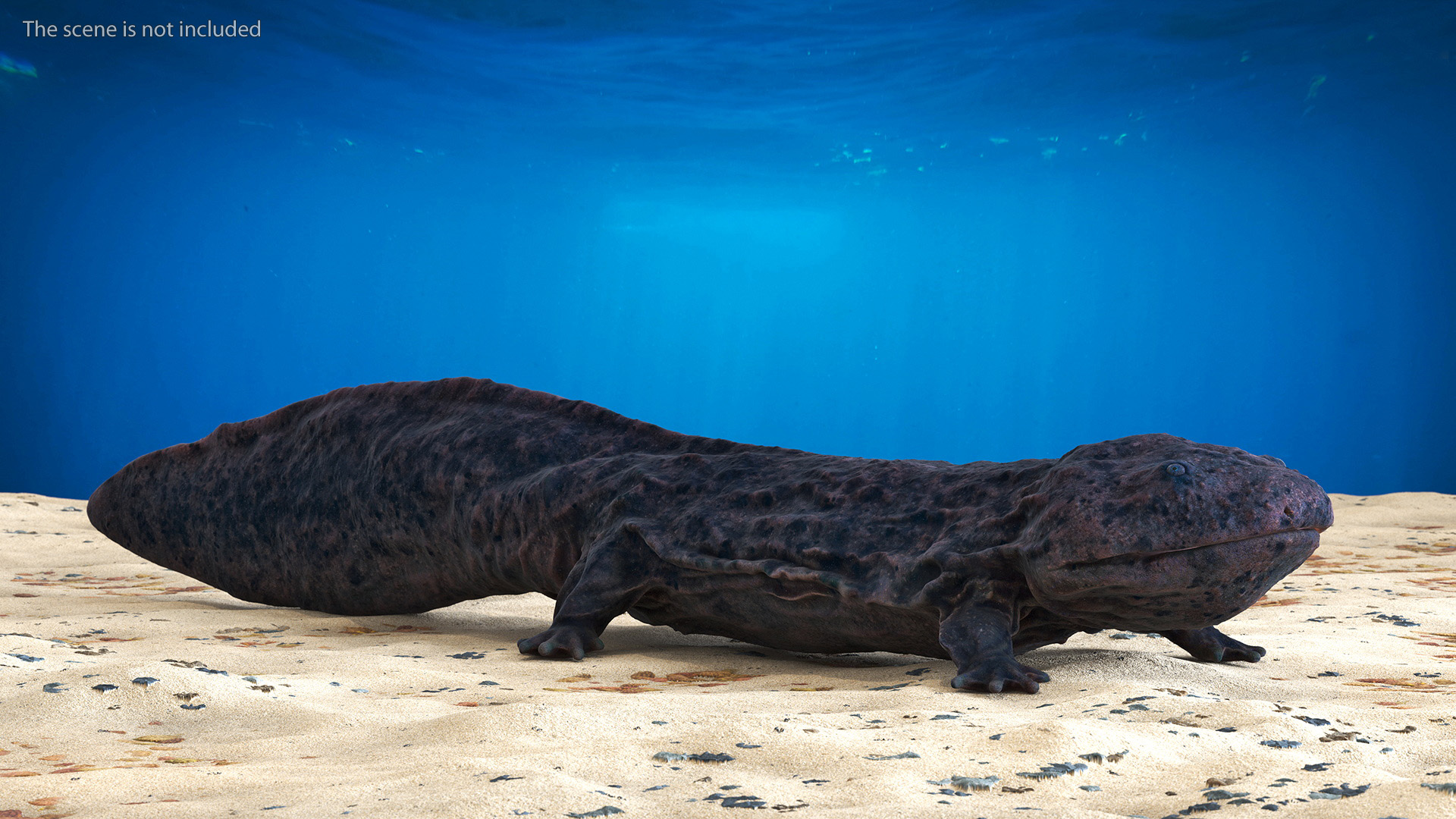 3D model Salamander Dark