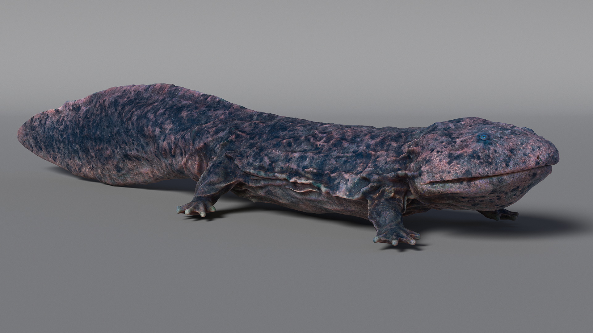 3D model Salamander Dark