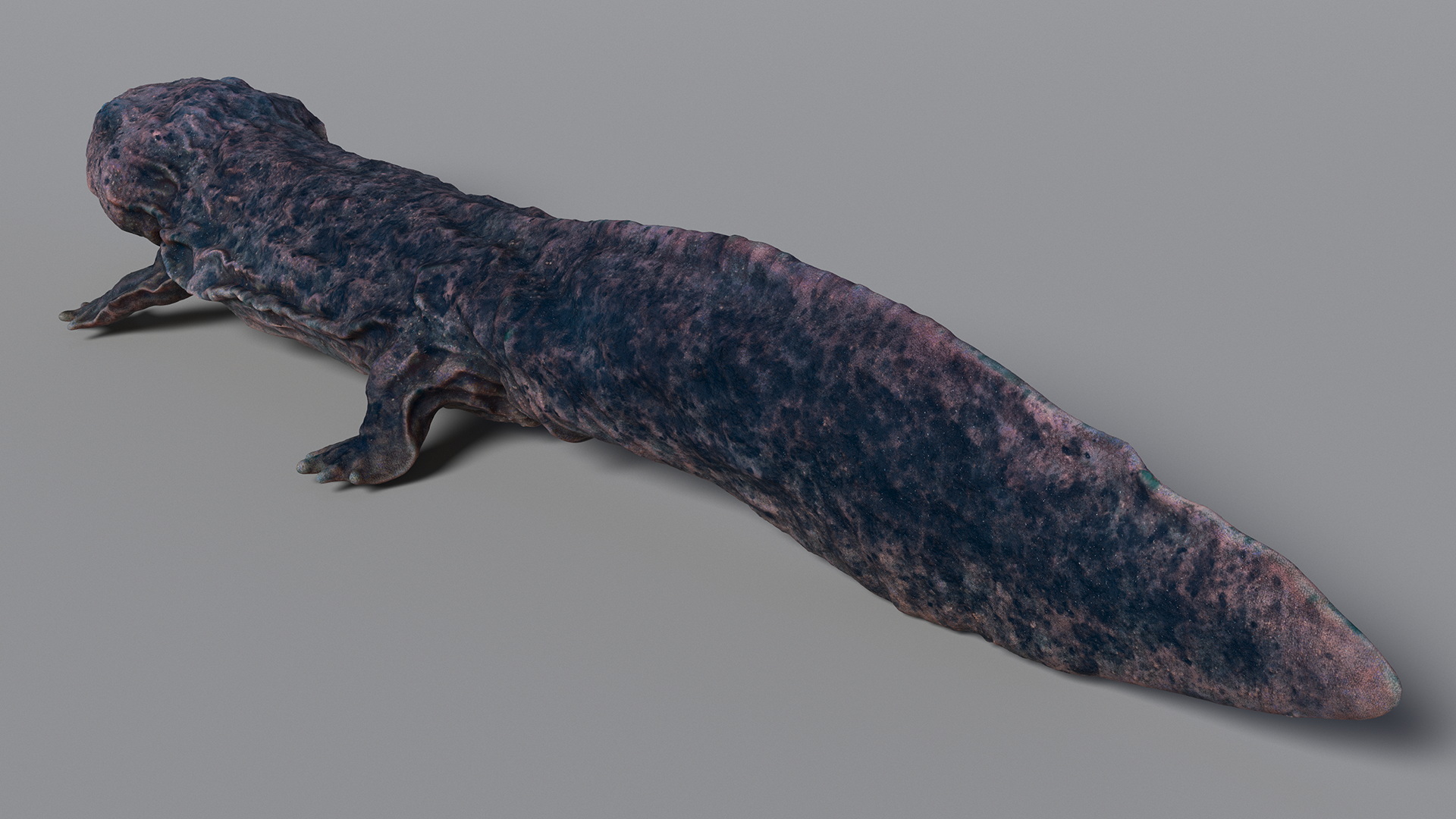 3D model Salamander Dark