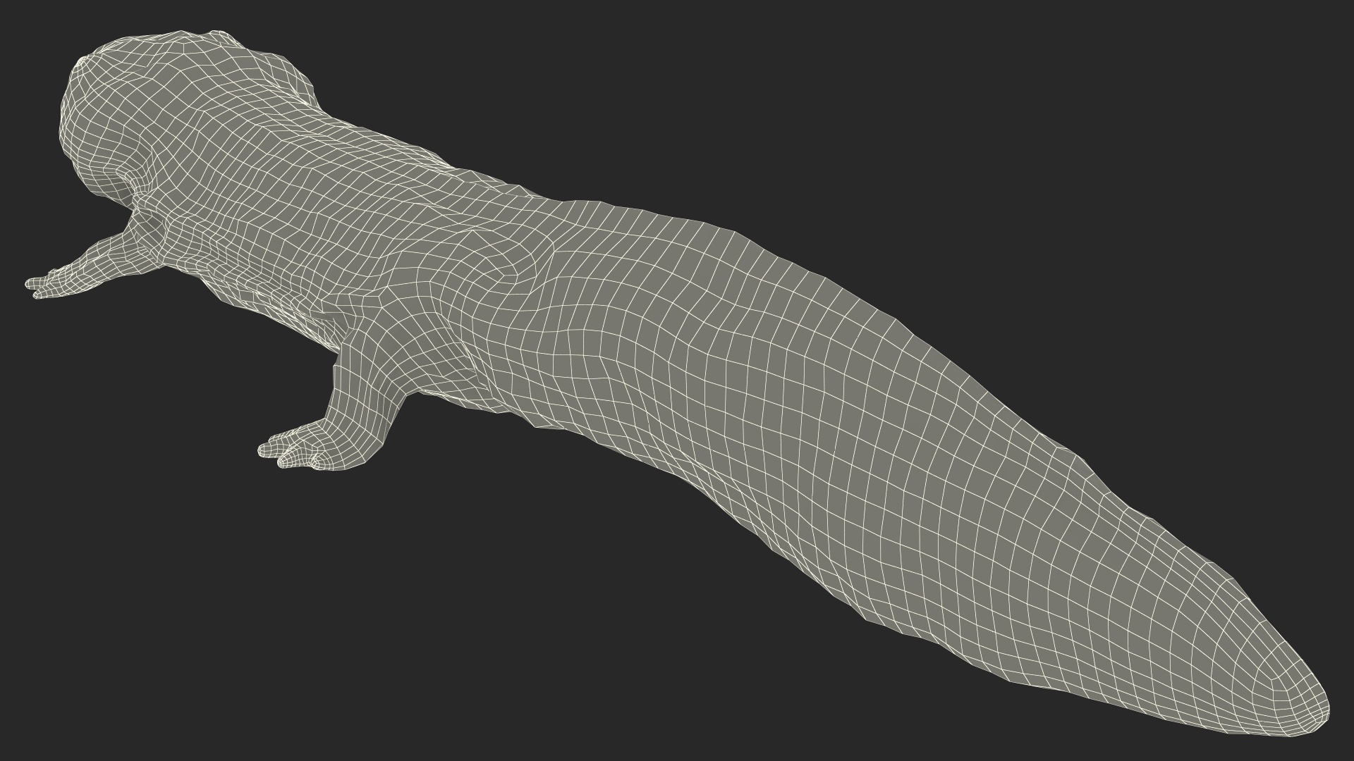 3D model Salamander Dark
