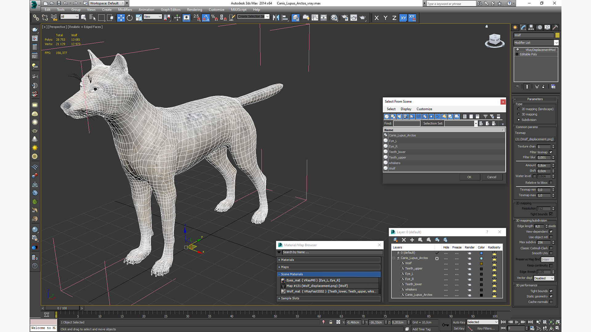 3D Canis Lupus Arctos model