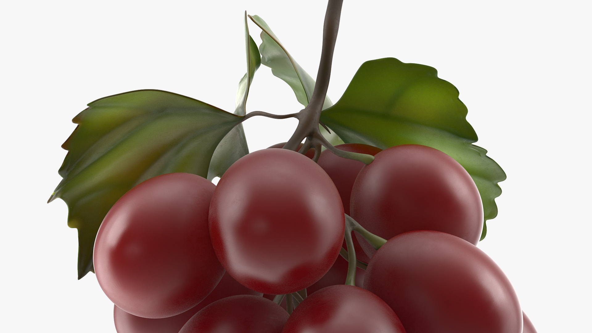 3D model Bunch of Fresh Red Grapes
