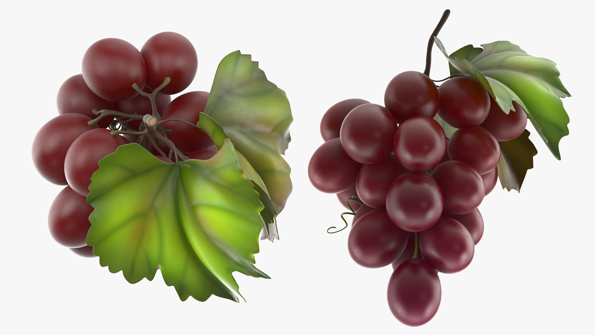 3D model Bunch of Fresh Red Grapes