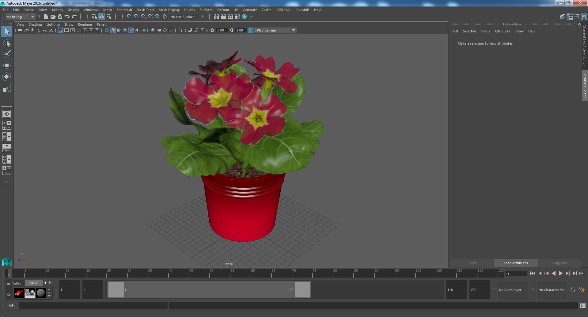 Red Potted Primrose 3D model
