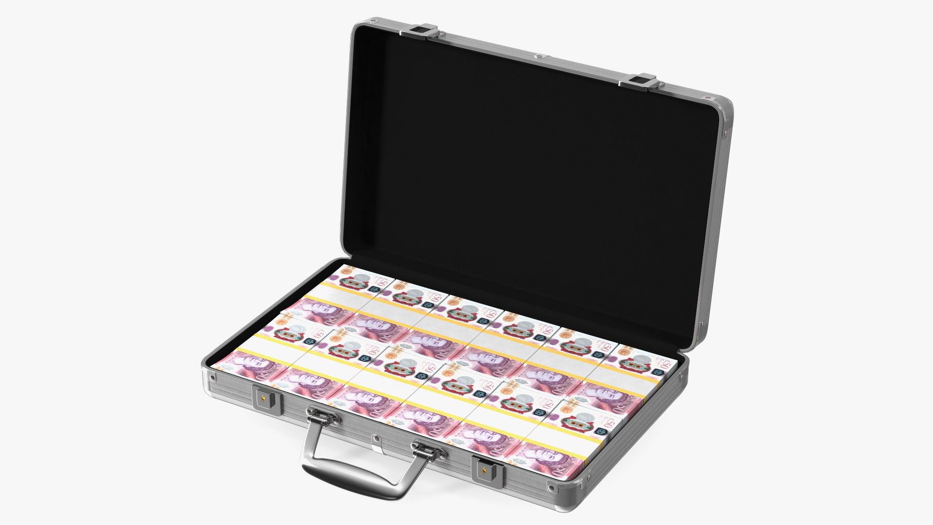 3D Suitcase Full of Pounds model