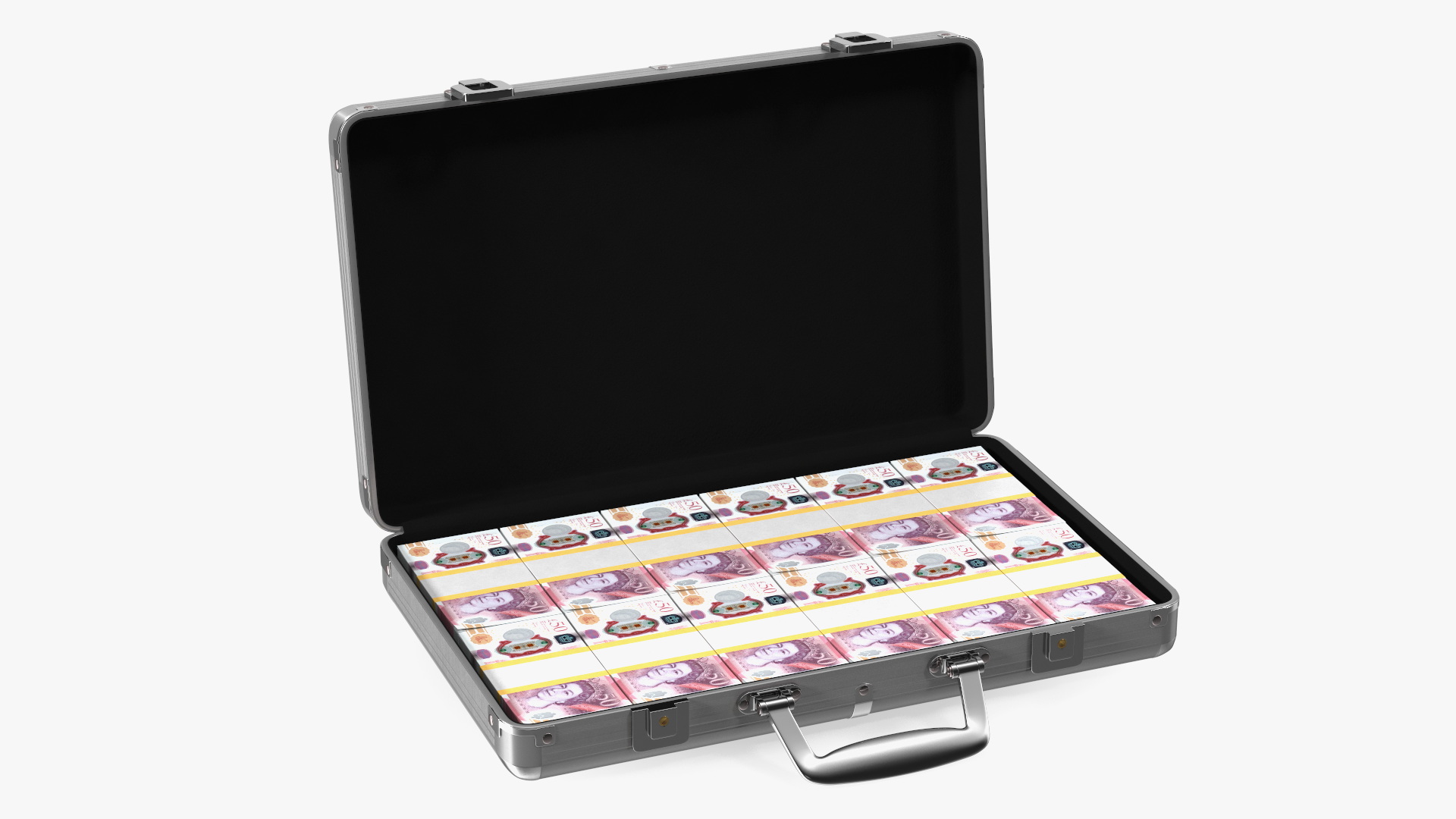 3D Suitcase Full of Pounds model