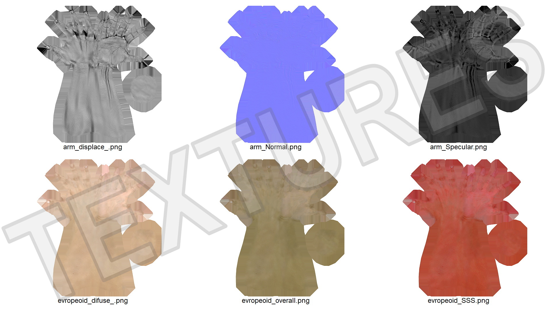 3D White Female Hand Rigged for Maya model