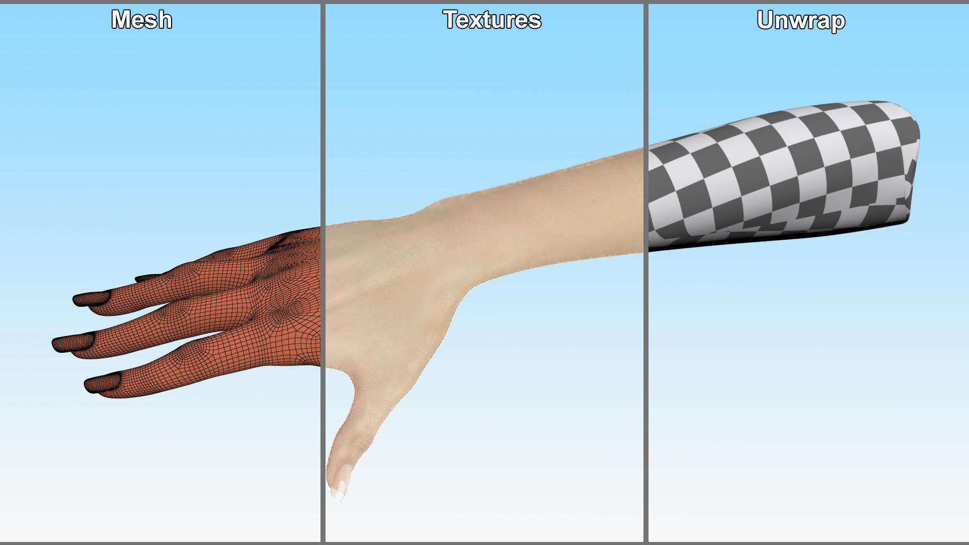 3D White Female Hand Rigged for Maya model