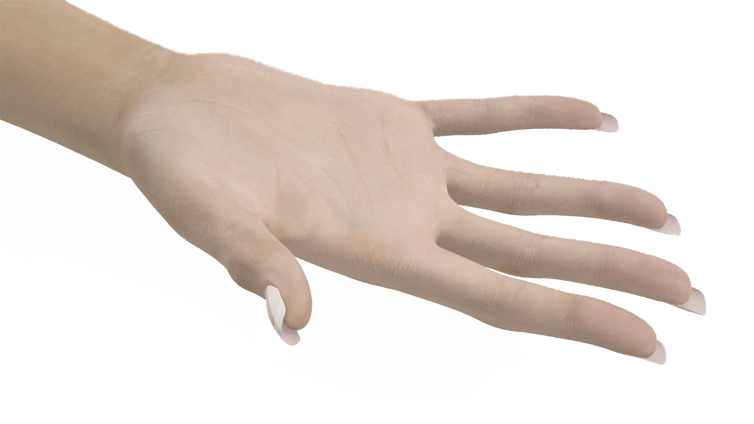 3D White Female Hand Rigged for Maya model