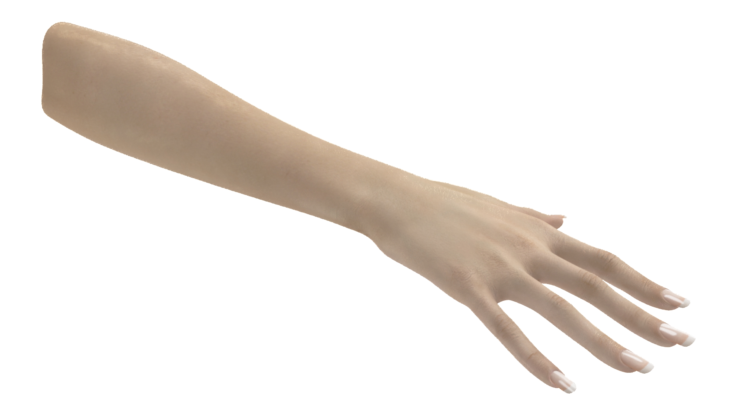 3D White Female Hand Rigged for Maya model