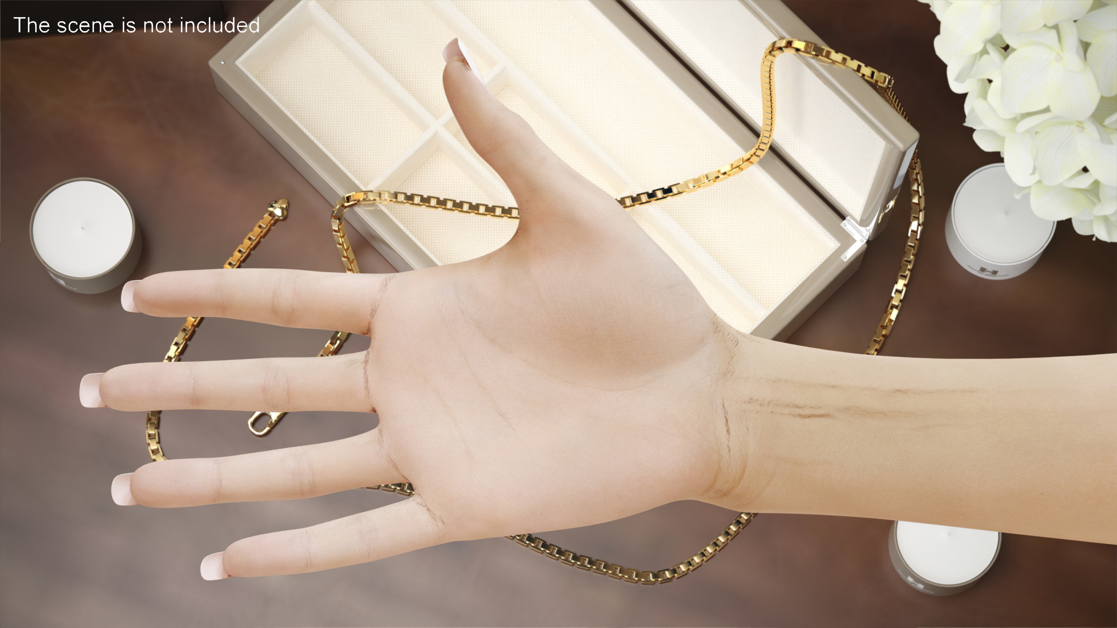 3D White Female Hand Rigged for Maya model