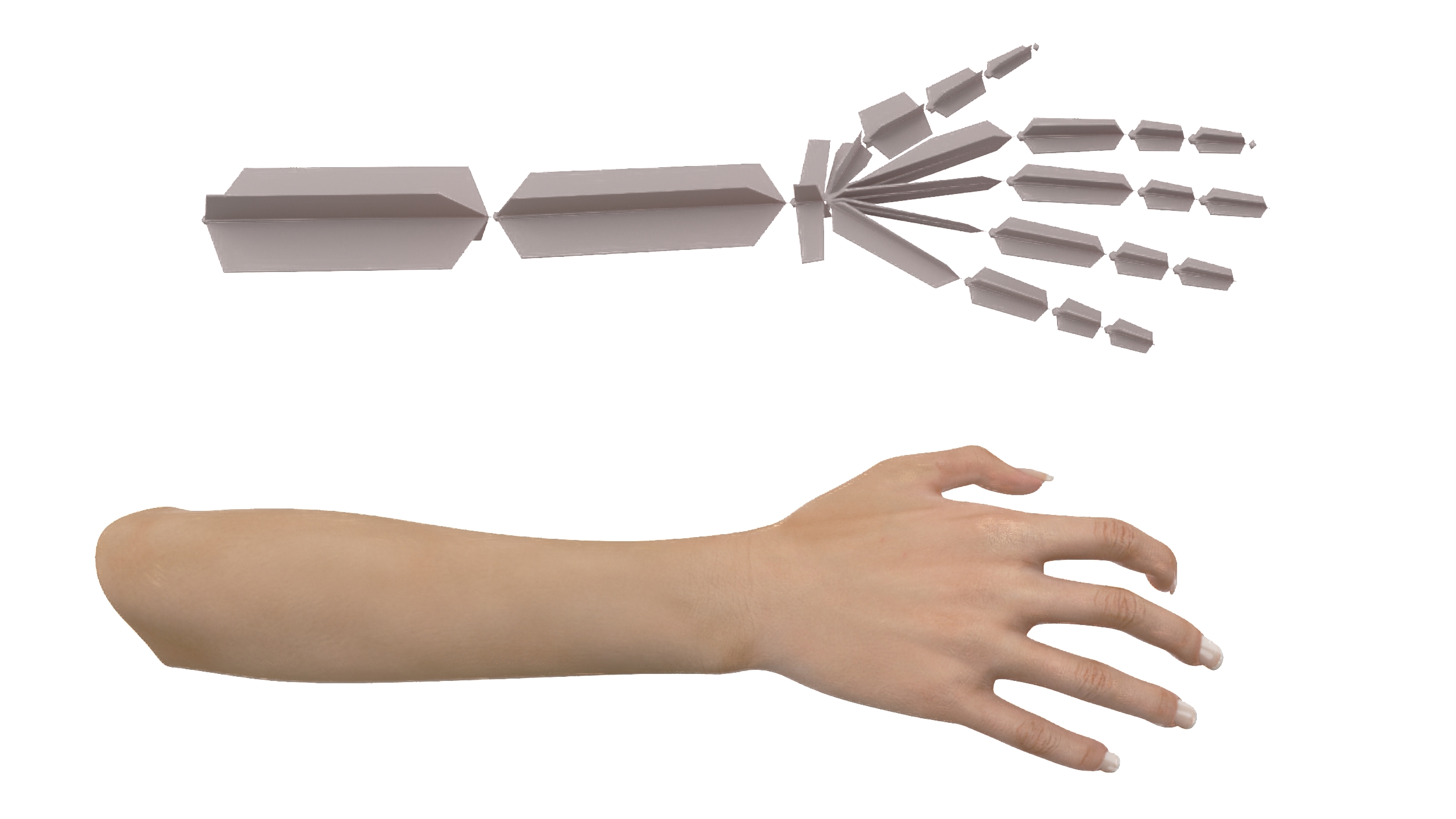 3D White Female Hand Rigged for Maya model
