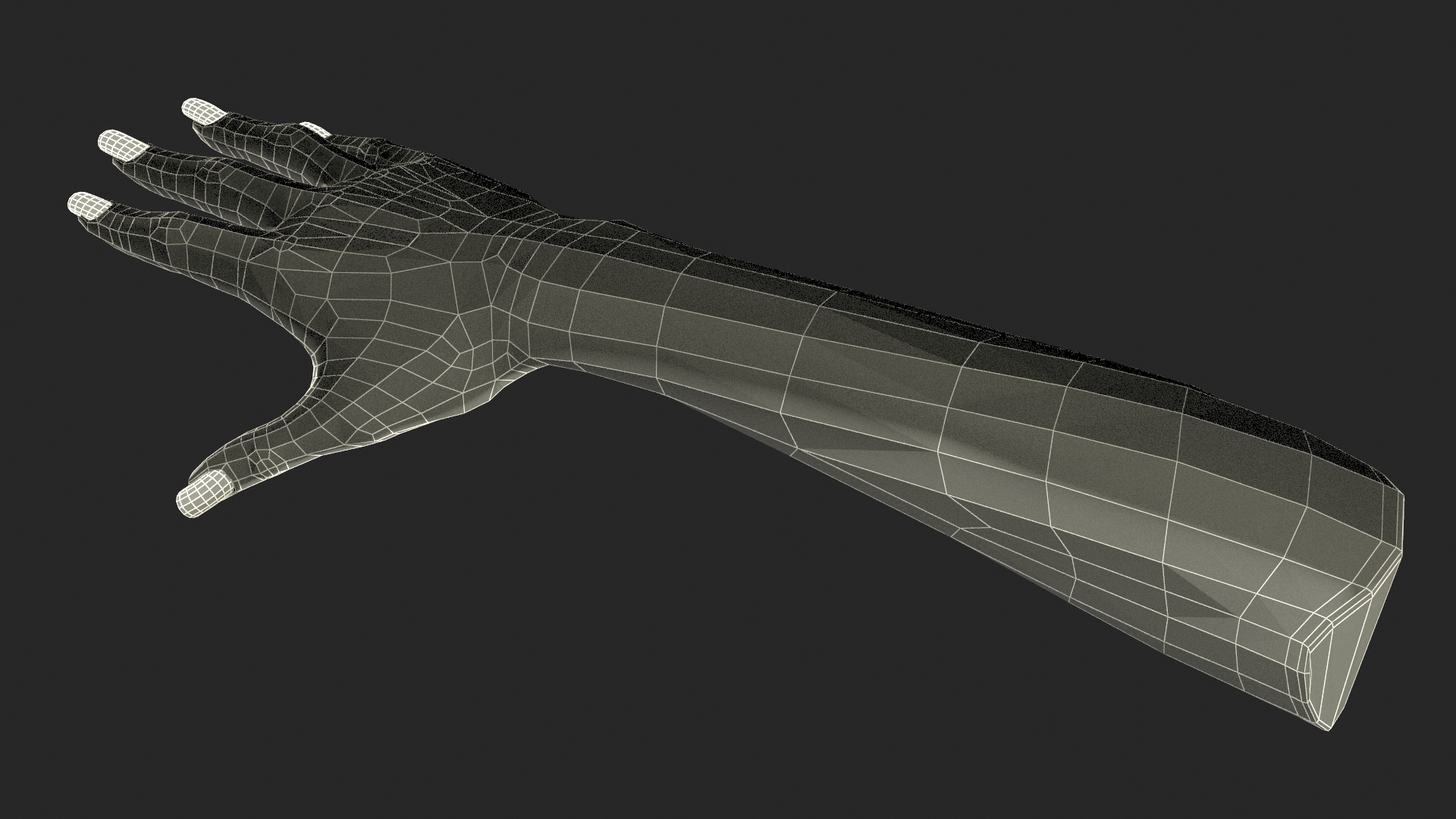 3D White Female Hand Rigged for Maya model