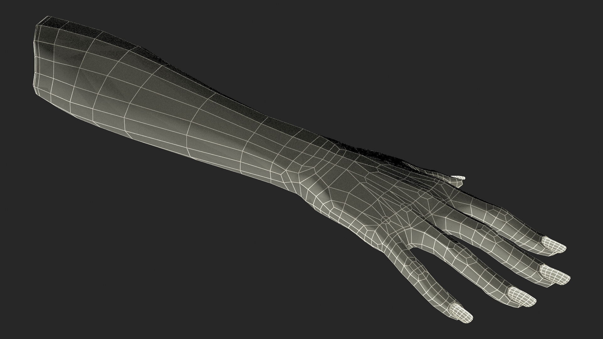 3D White Female Hand Rigged for Maya model