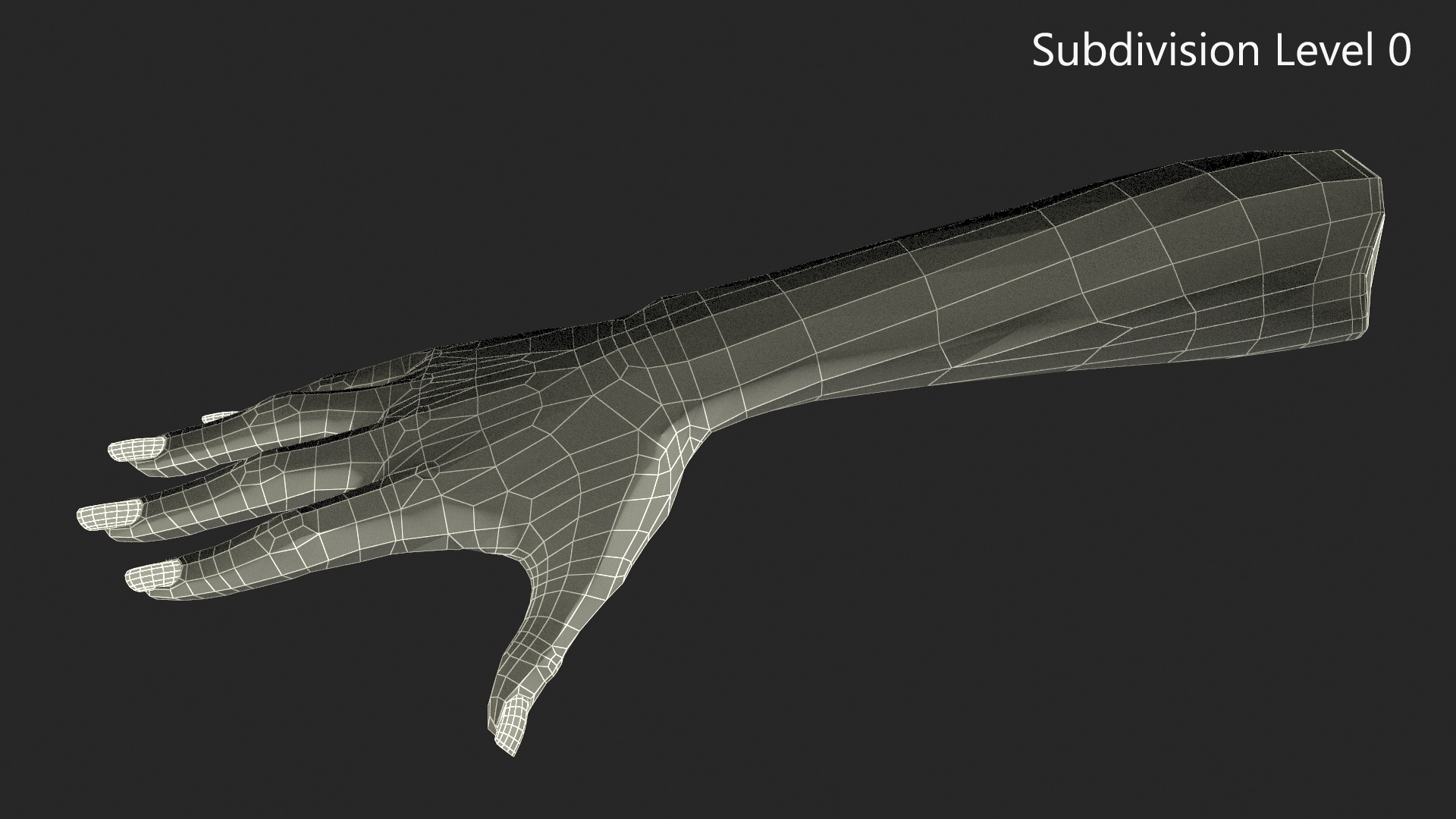 3D White Female Hand Rigged for Maya model