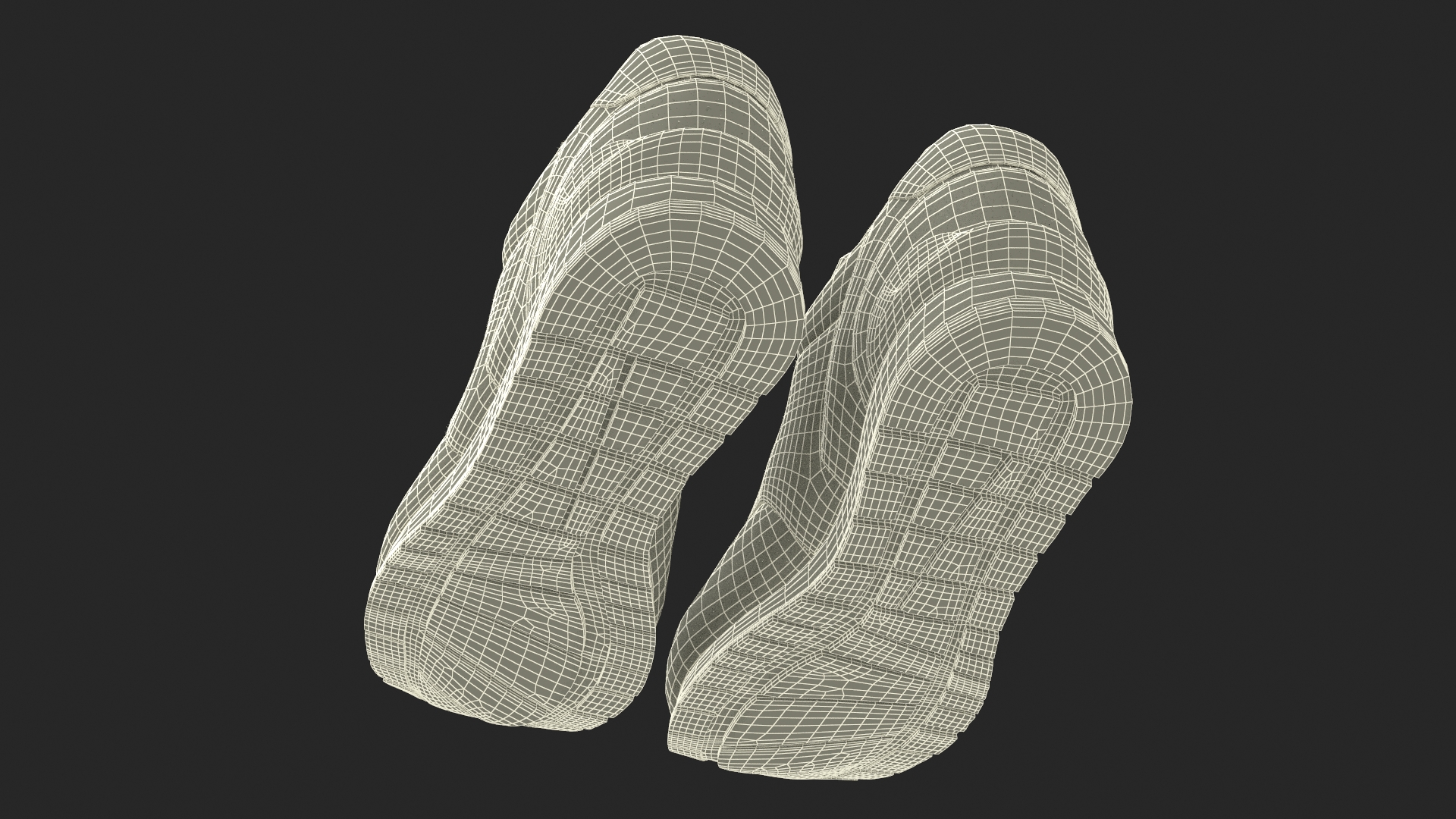 3D Nike Sport Sneakers Fur model