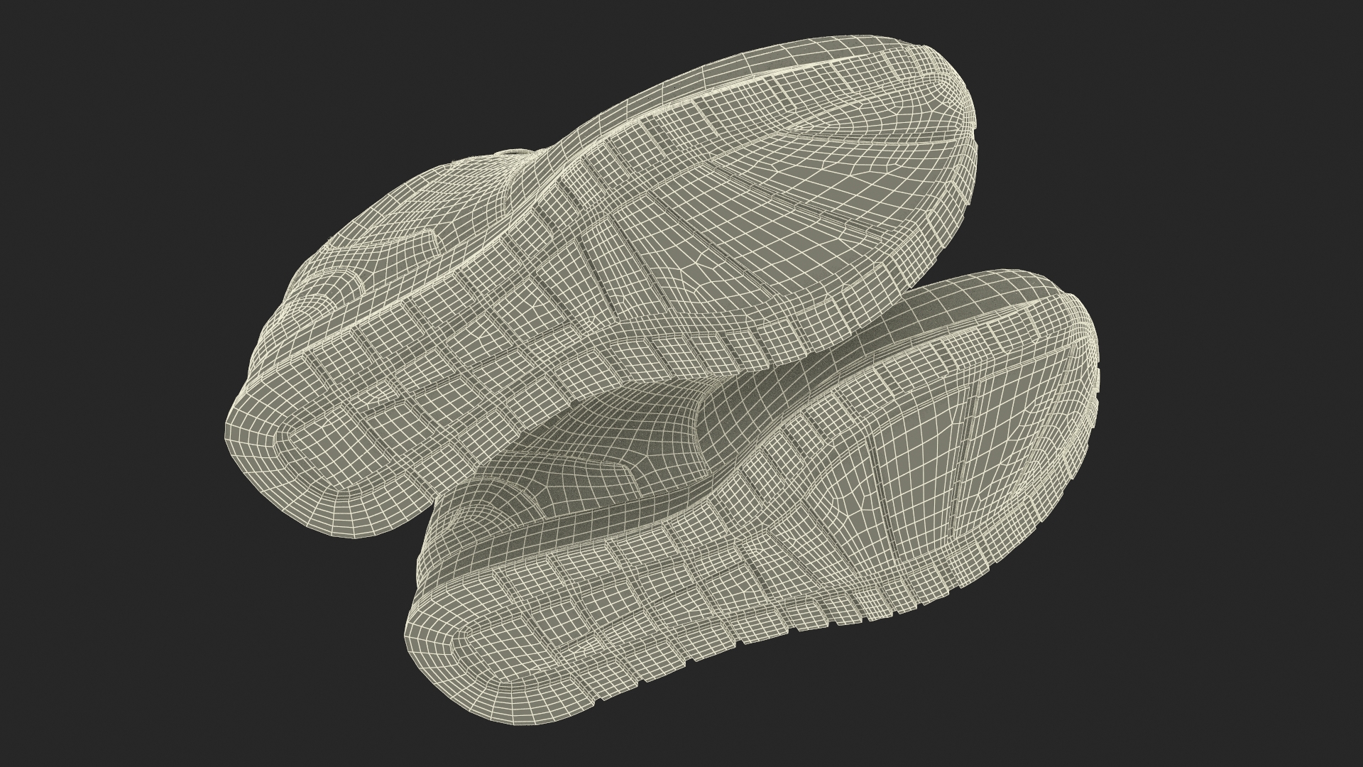 3D Nike Sport Sneakers Fur model