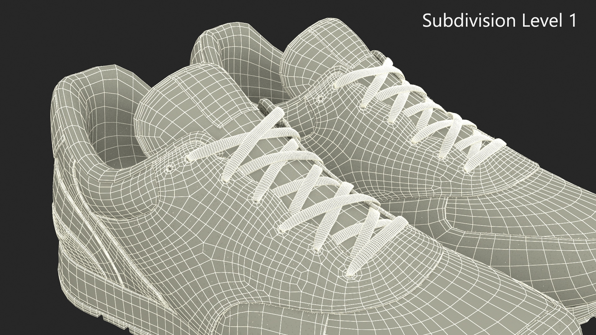 3D Nike Sport Sneakers Fur model