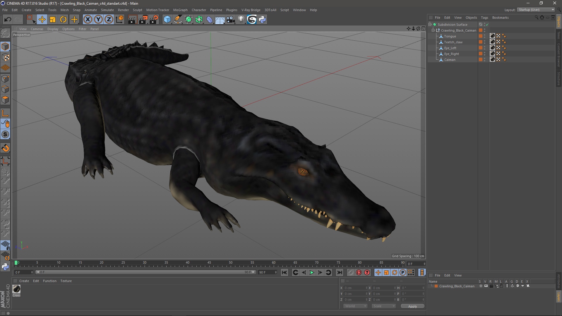 3D Crawling Black Caiman