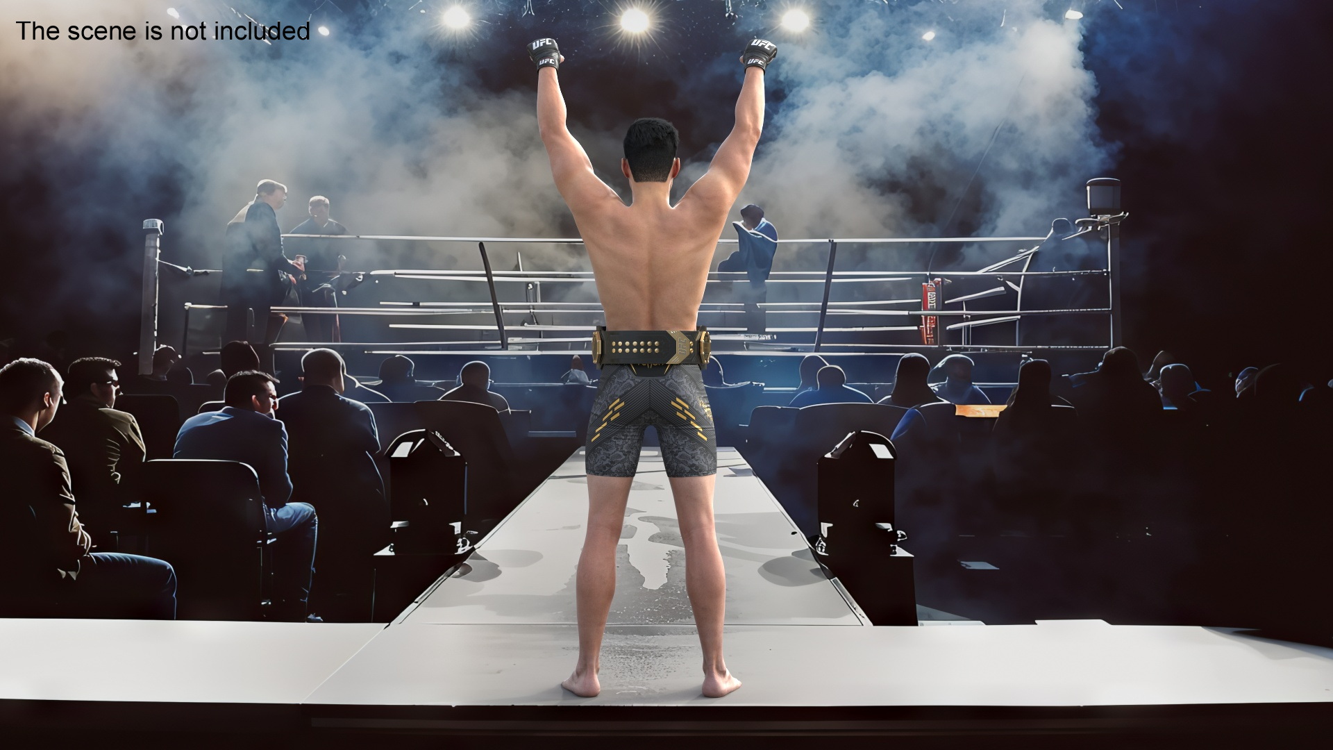 MMA Fighter with UFC Championship Belt Fur 3D