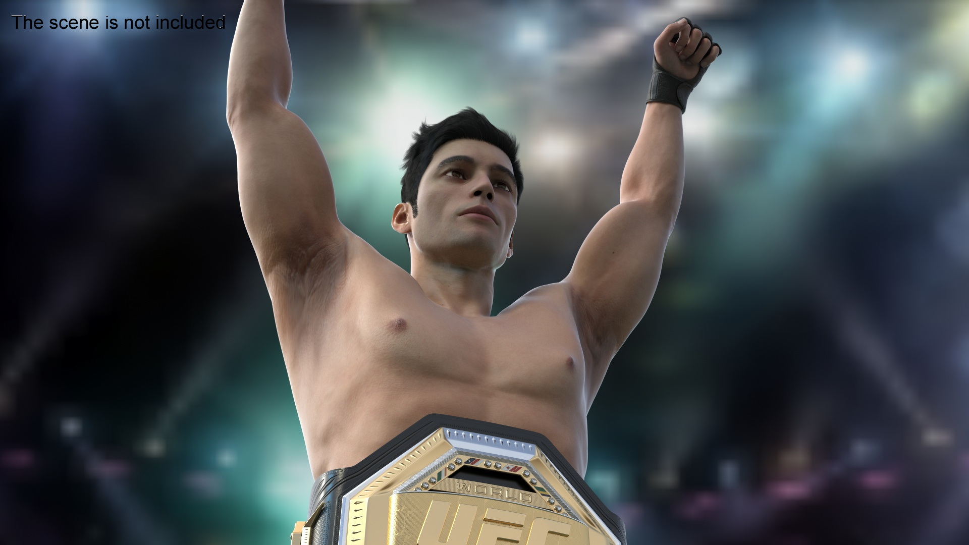 MMA Fighter with UFC Championship Belt Fur 3D