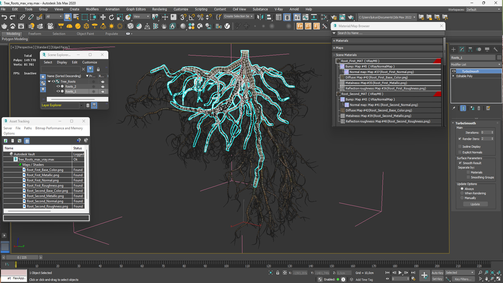3D model Tree Roots
