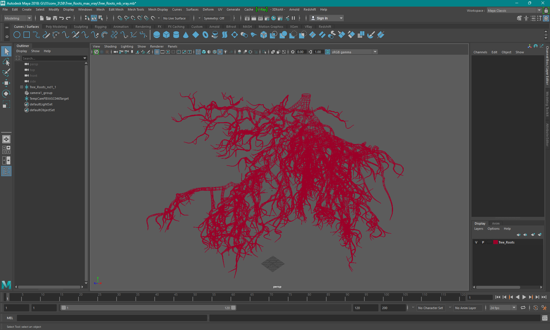 3D model Tree Roots
