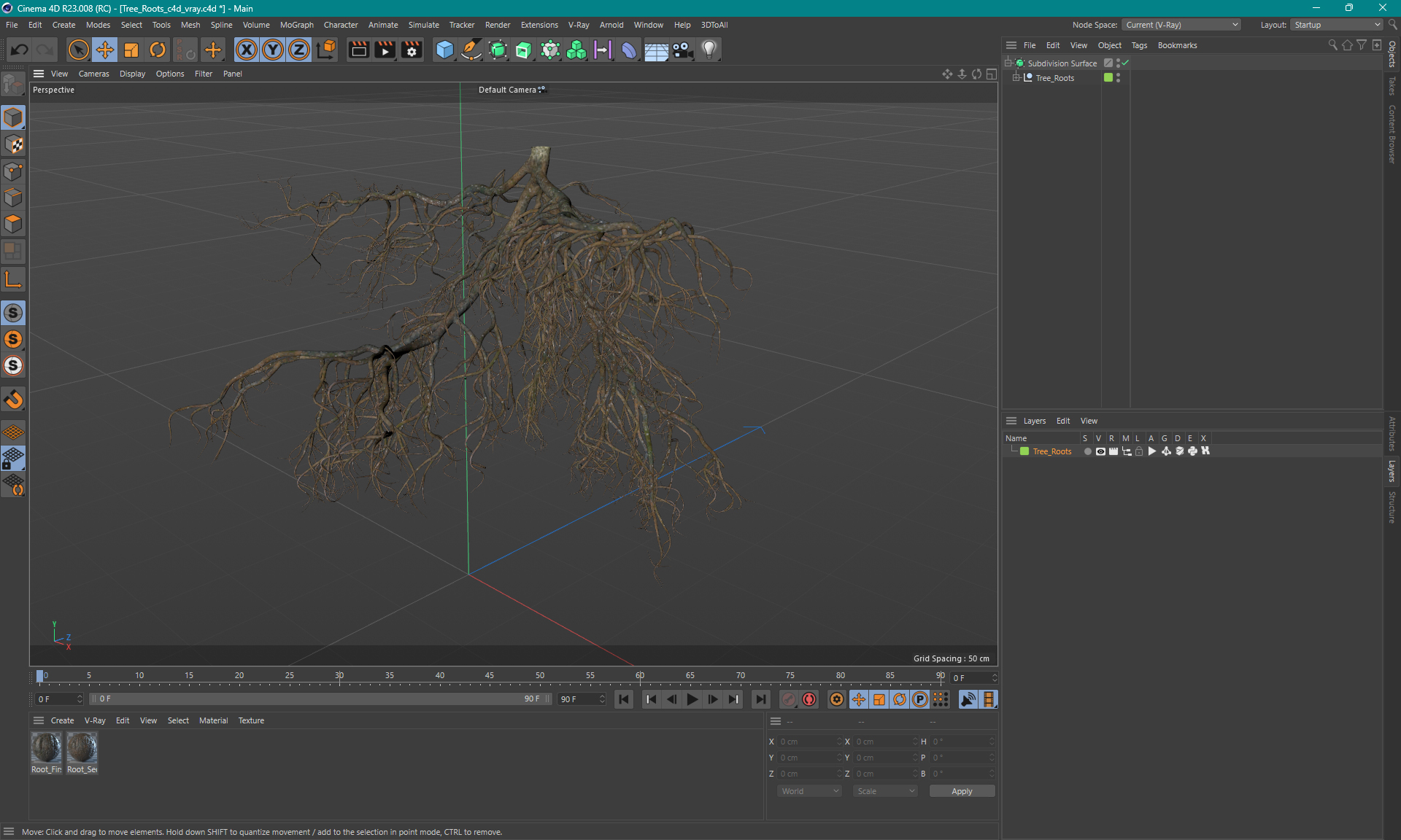 3D model Tree Roots