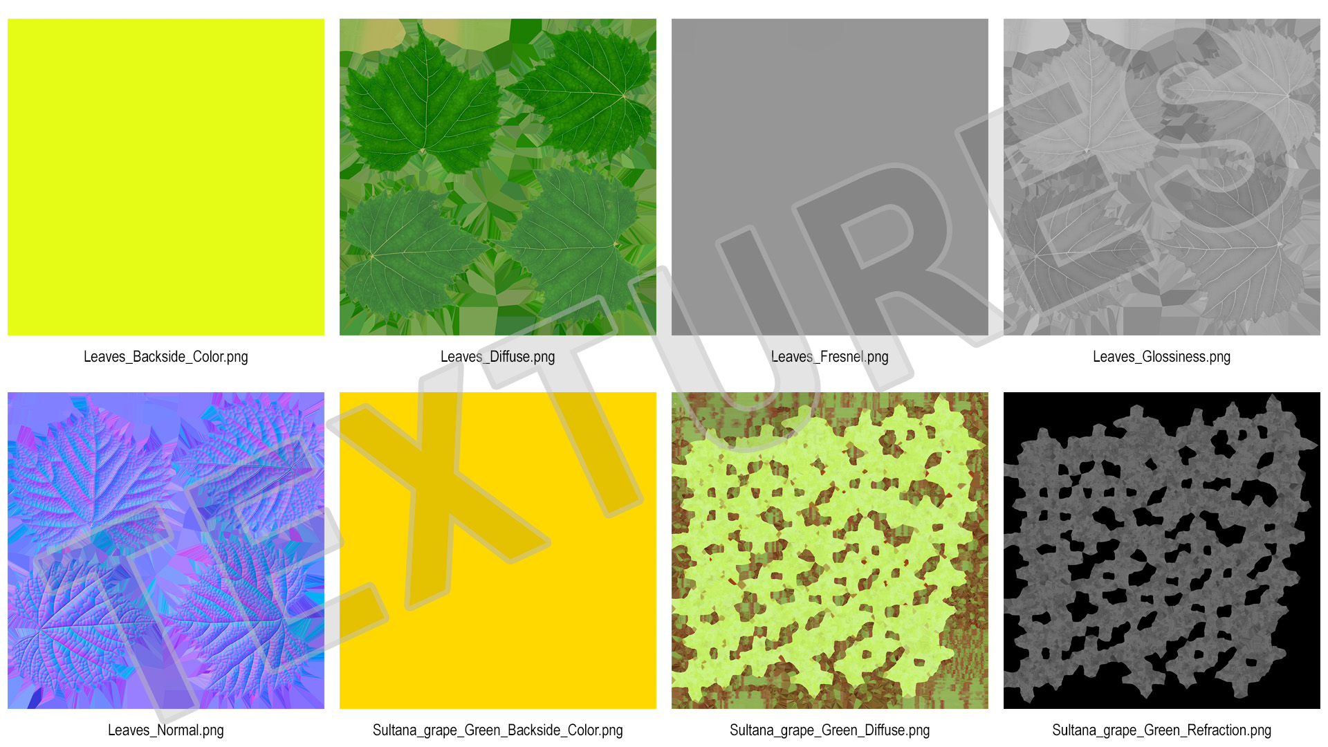 Green Sultana Grape Cluster 3D