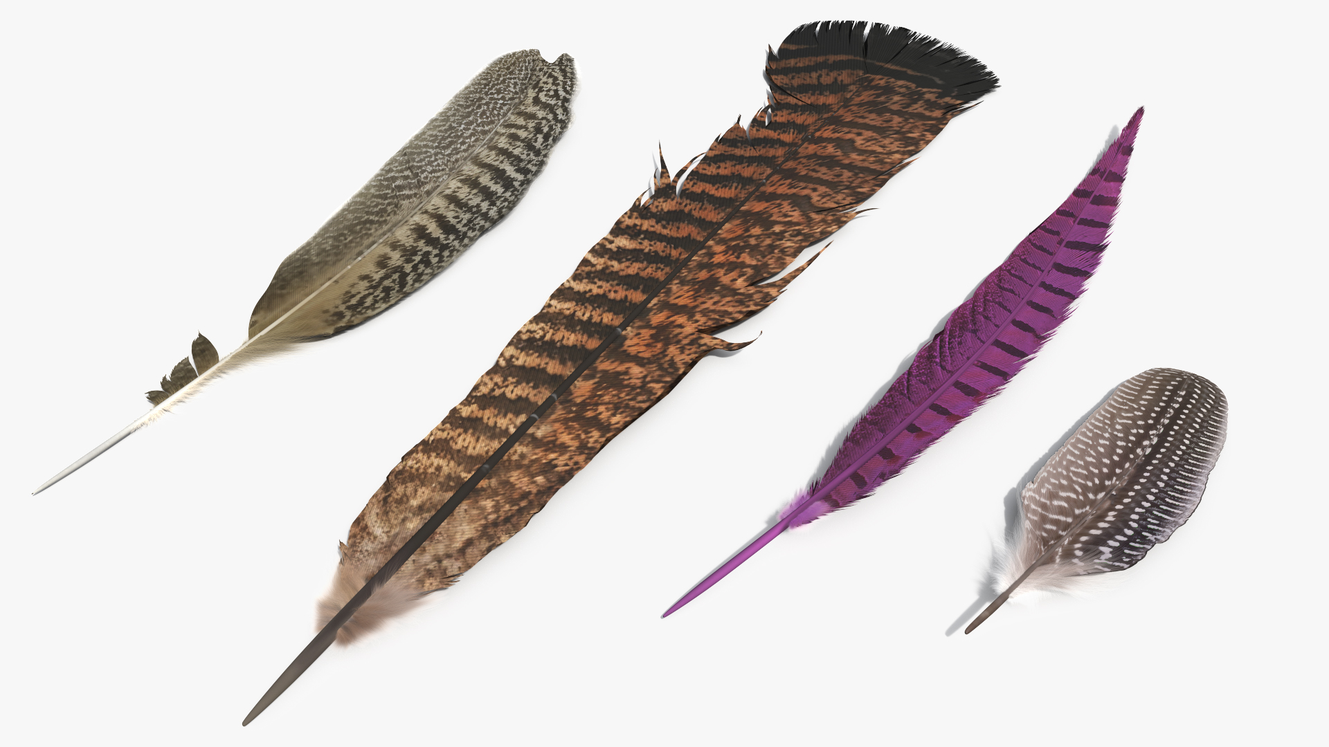 Pheasant and Guinea Fowl Feathers Set Brown Fur - view 2