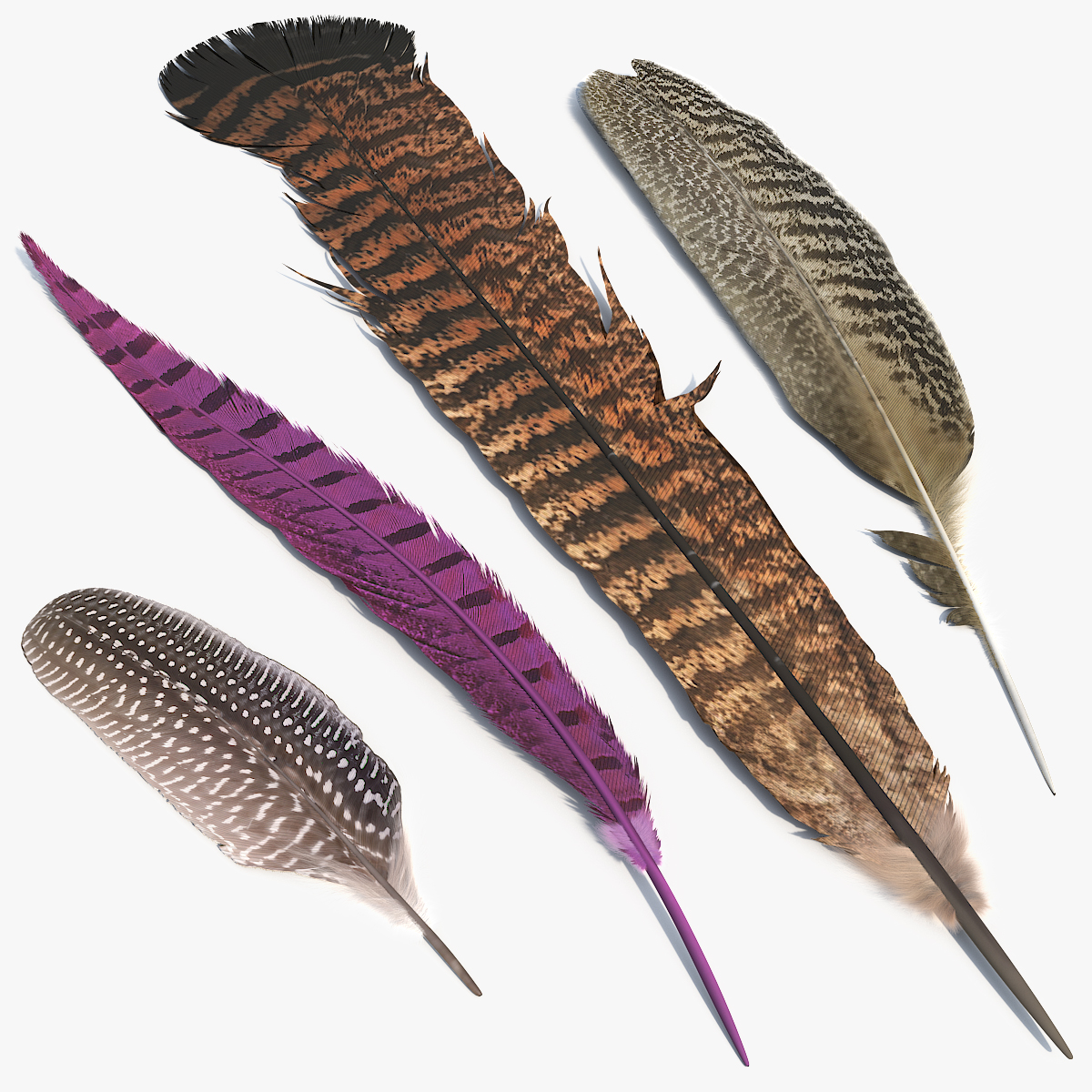 Pheasant and Guinea Fowl Feathers Set Brown Fur - view 12