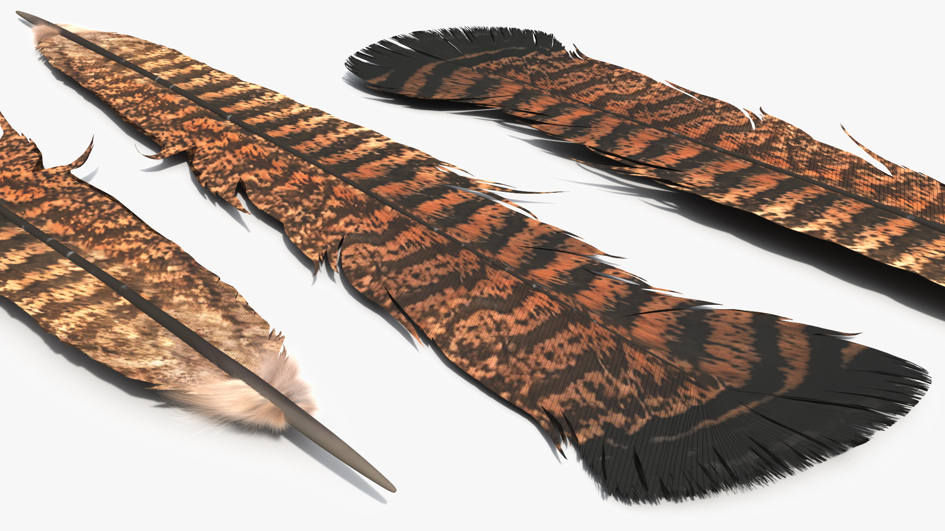Pheasant and Guinea Fowl Feathers Set Brown Fur - view 3