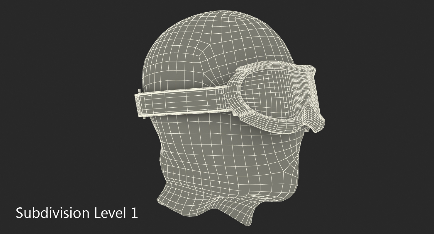 3D Balaclava Ski Face Mask with Goggles