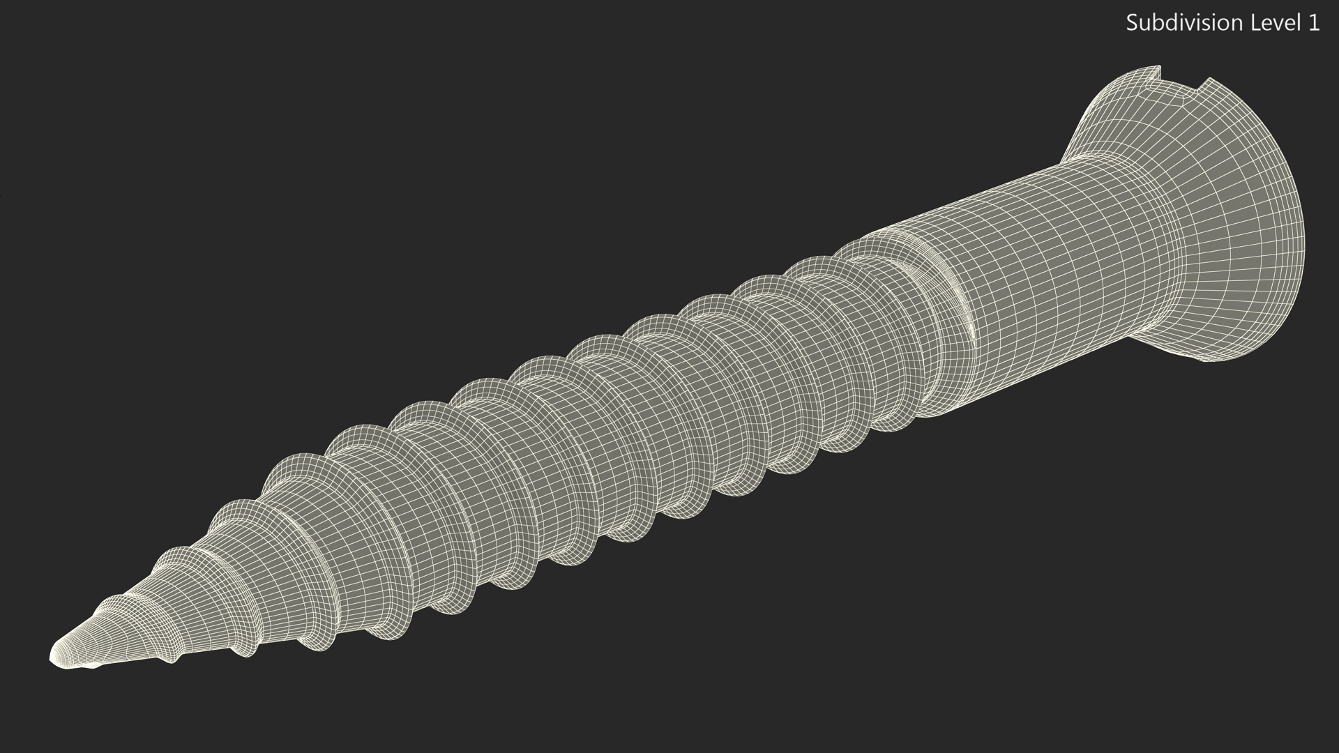 3D model Wood Screw