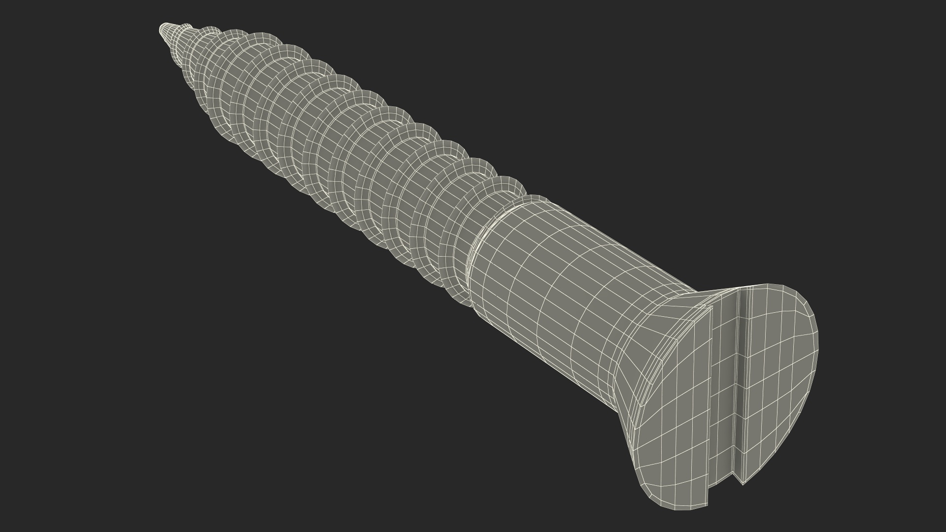 3D model Wood Screw