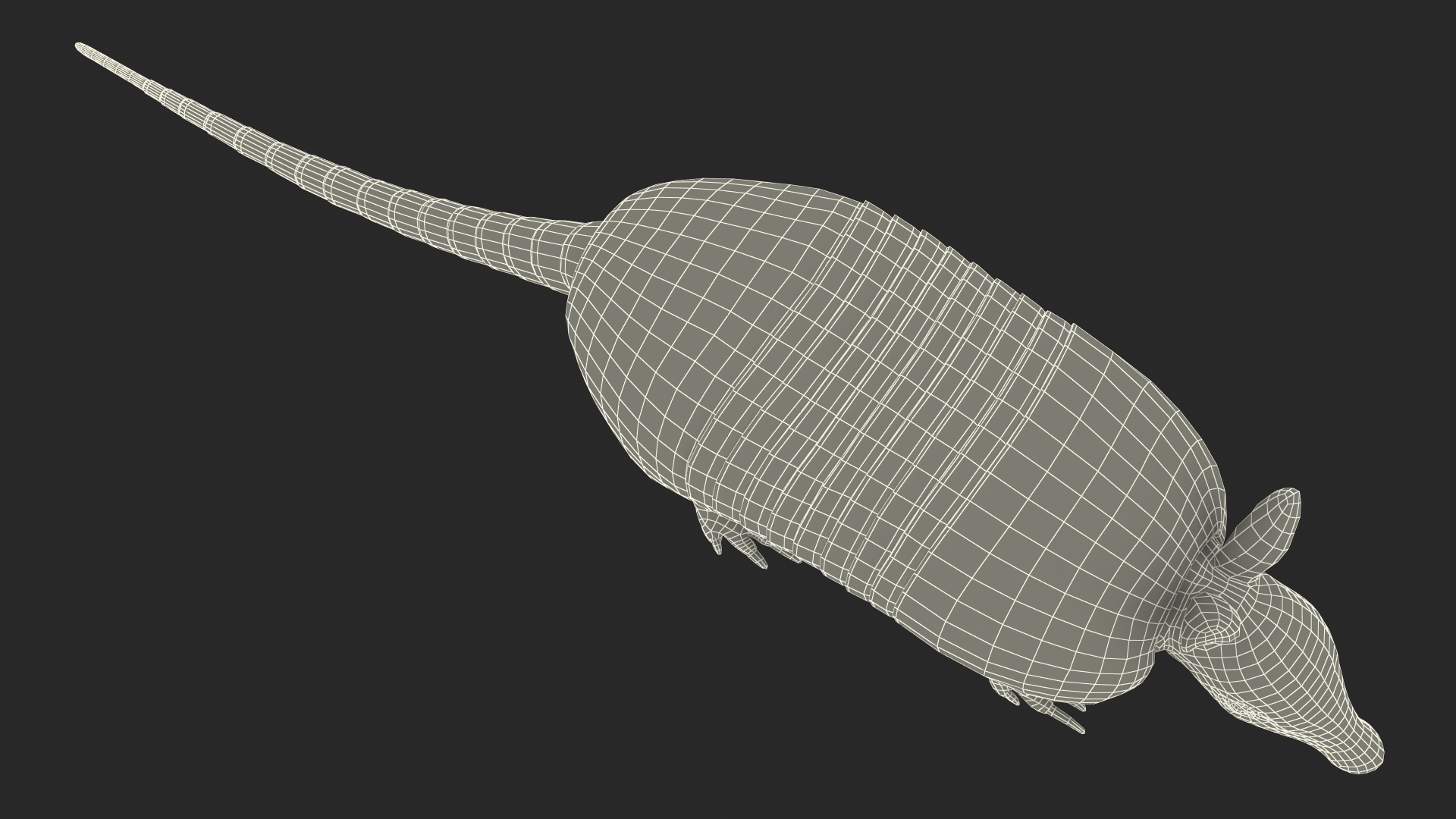 3D model Armadillo Pink Rigged for Cinema 4D