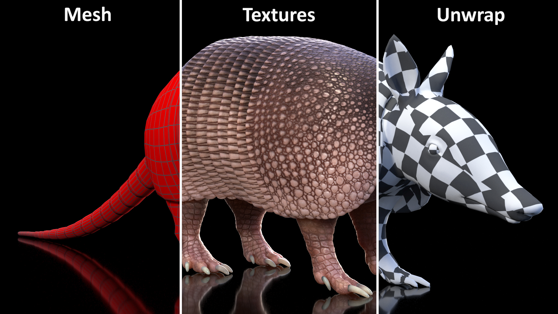 3D model Armadillo Pink Rigged for Cinema 4D