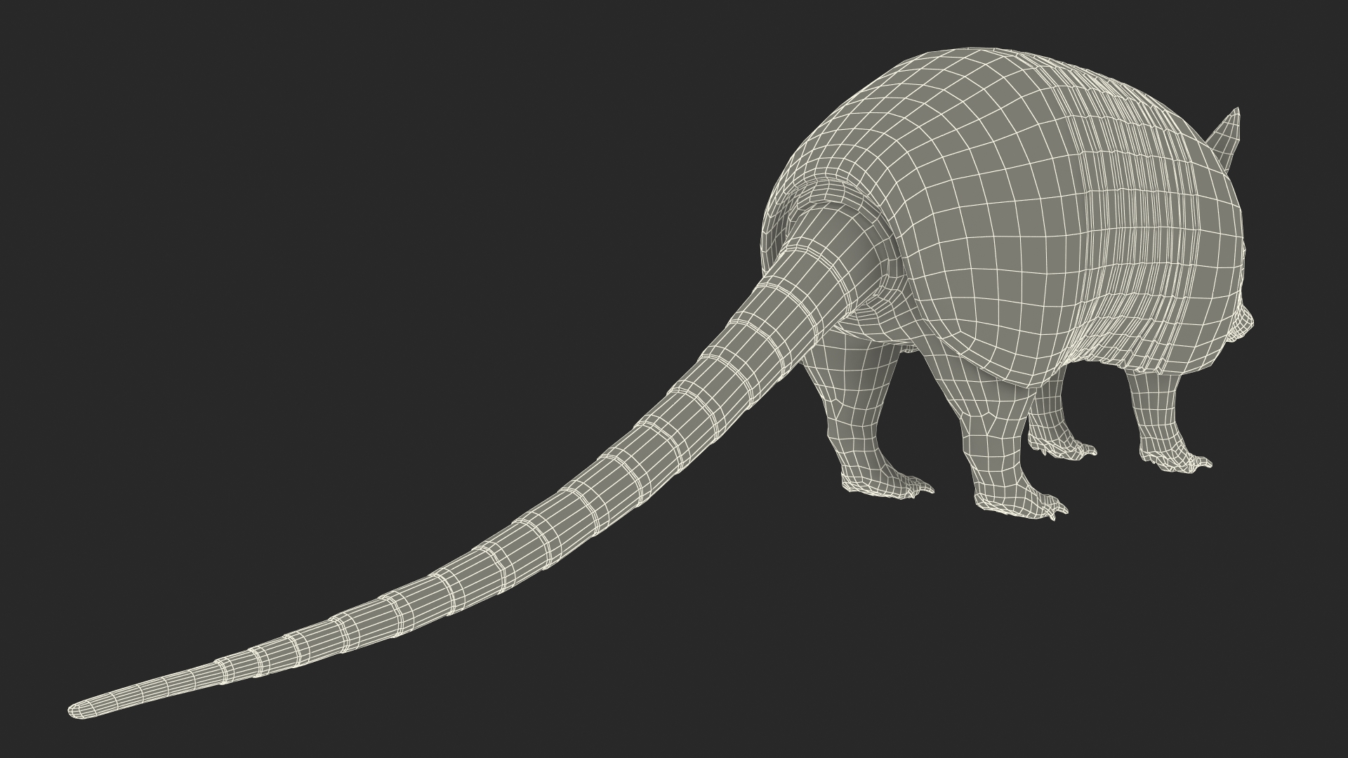 3D model Armadillo Pink Rigged for Cinema 4D