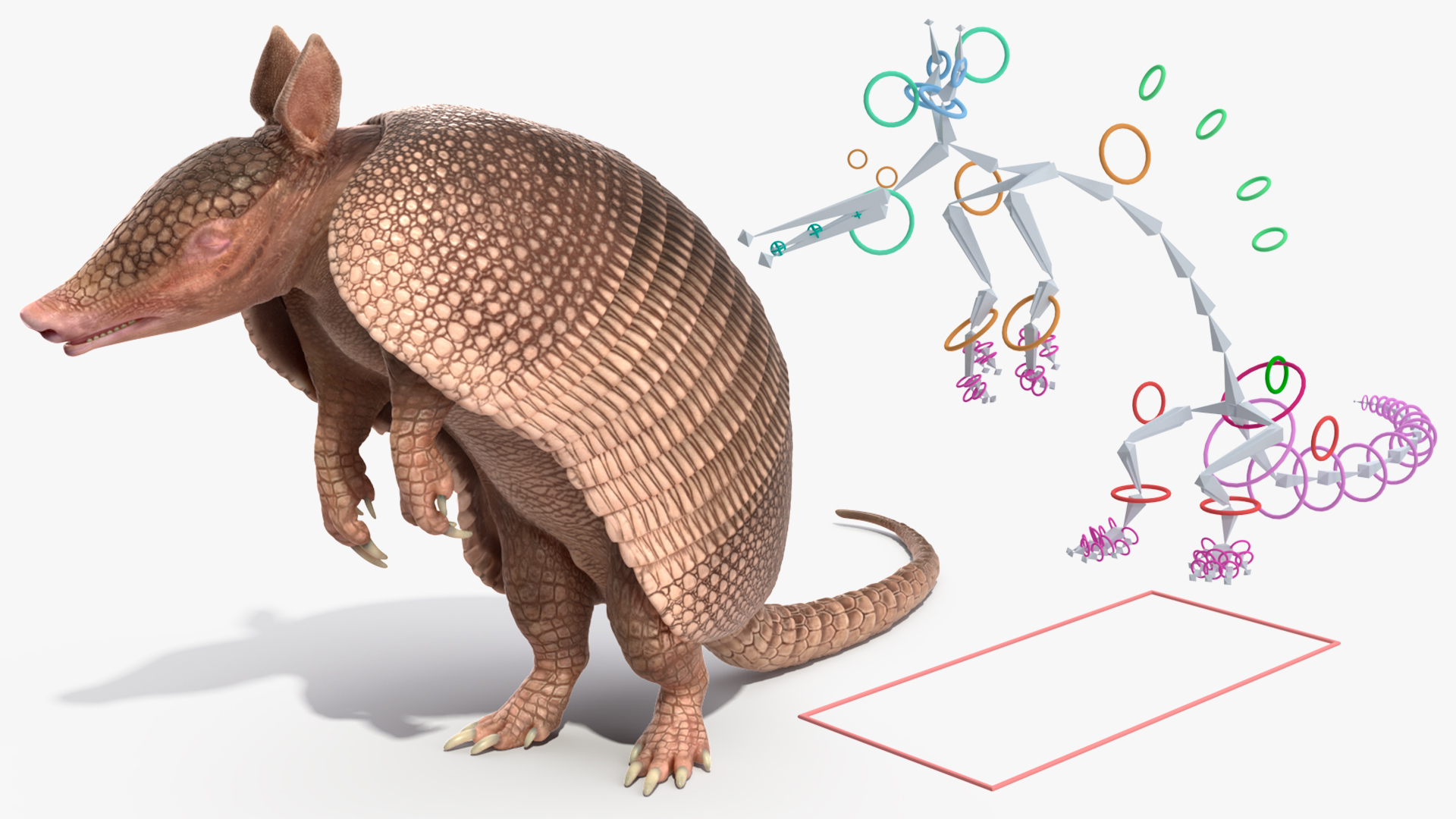 3D model Armadillo Pink Rigged for Cinema 4D