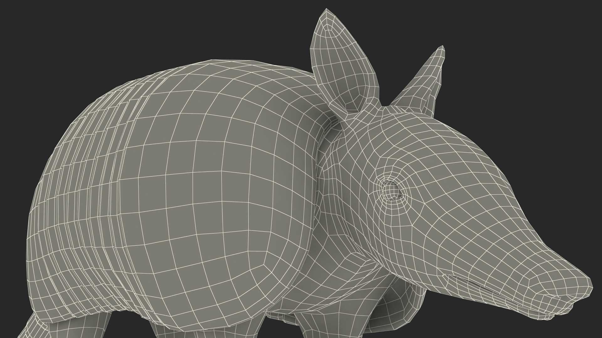 3D model Armadillo Pink Rigged for Cinema 4D