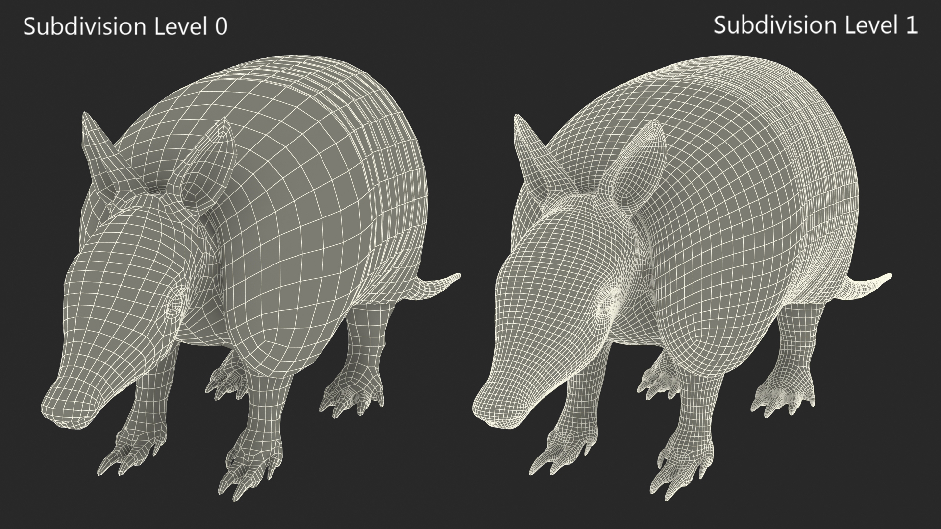 3D model Armadillo Pink Rigged for Cinema 4D