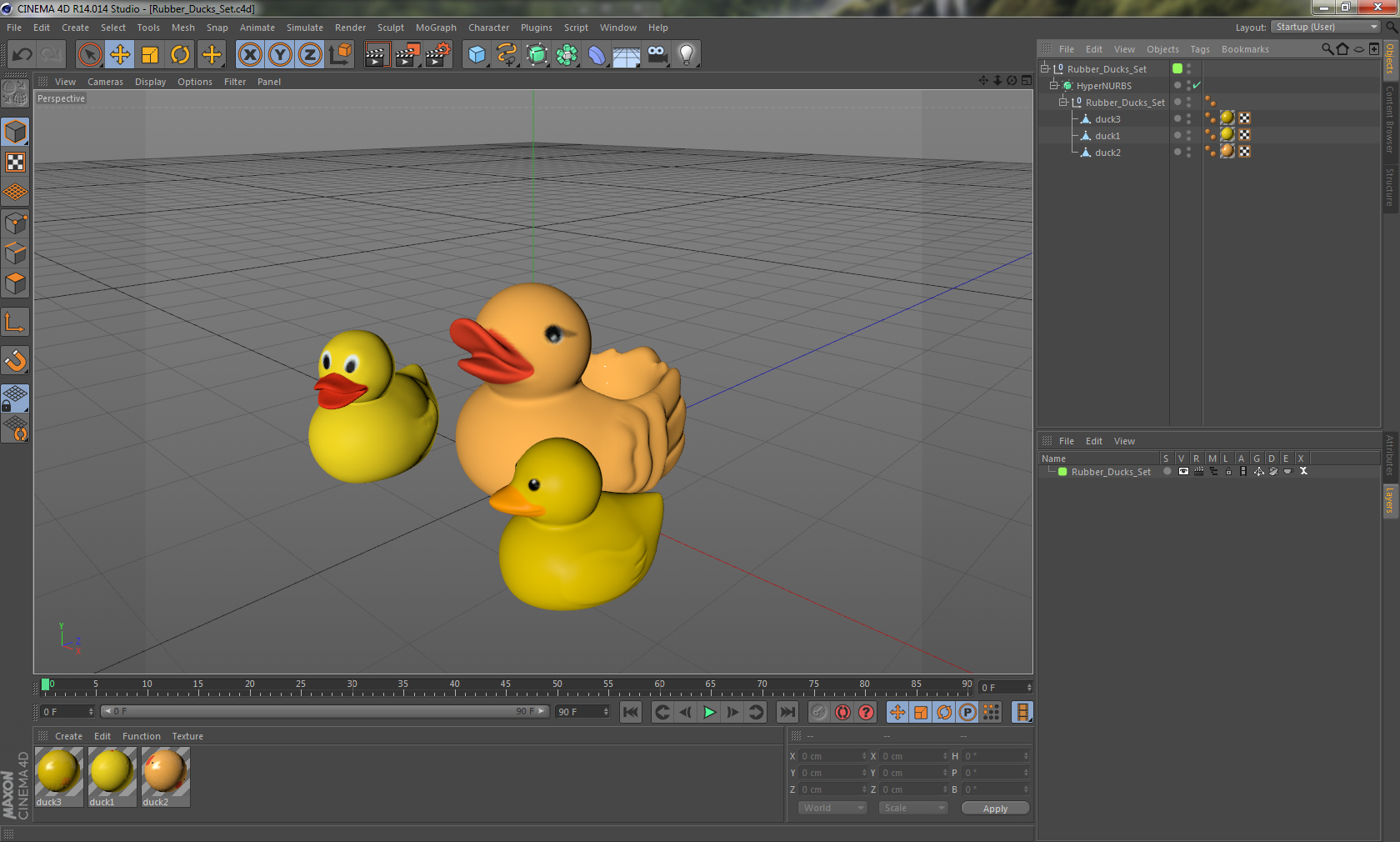 3D Rubber Ducks Set