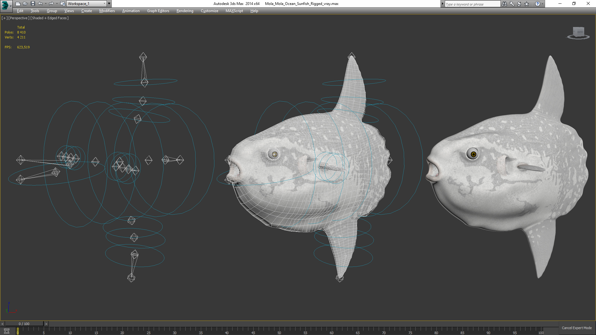 3D model Mola Mola Ocean Sunfish Rigged