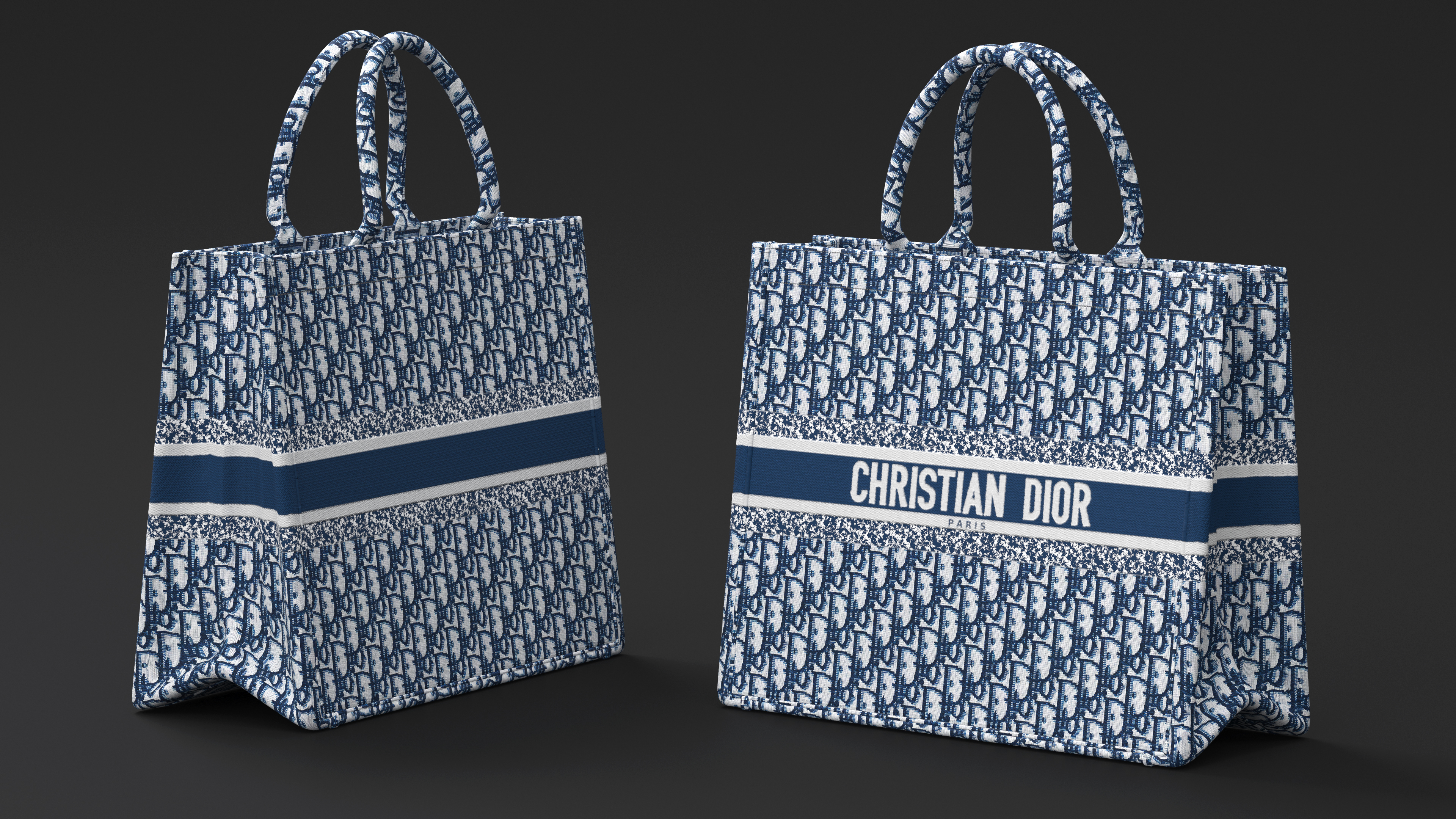 Dior Embroidery Book Tote Bag Navy Blue 3D model