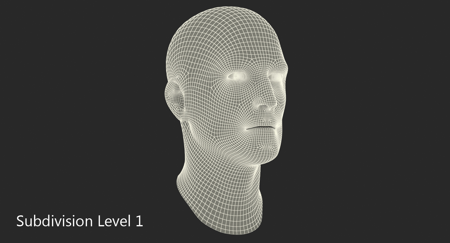 3D Male Head 6 Rigged model