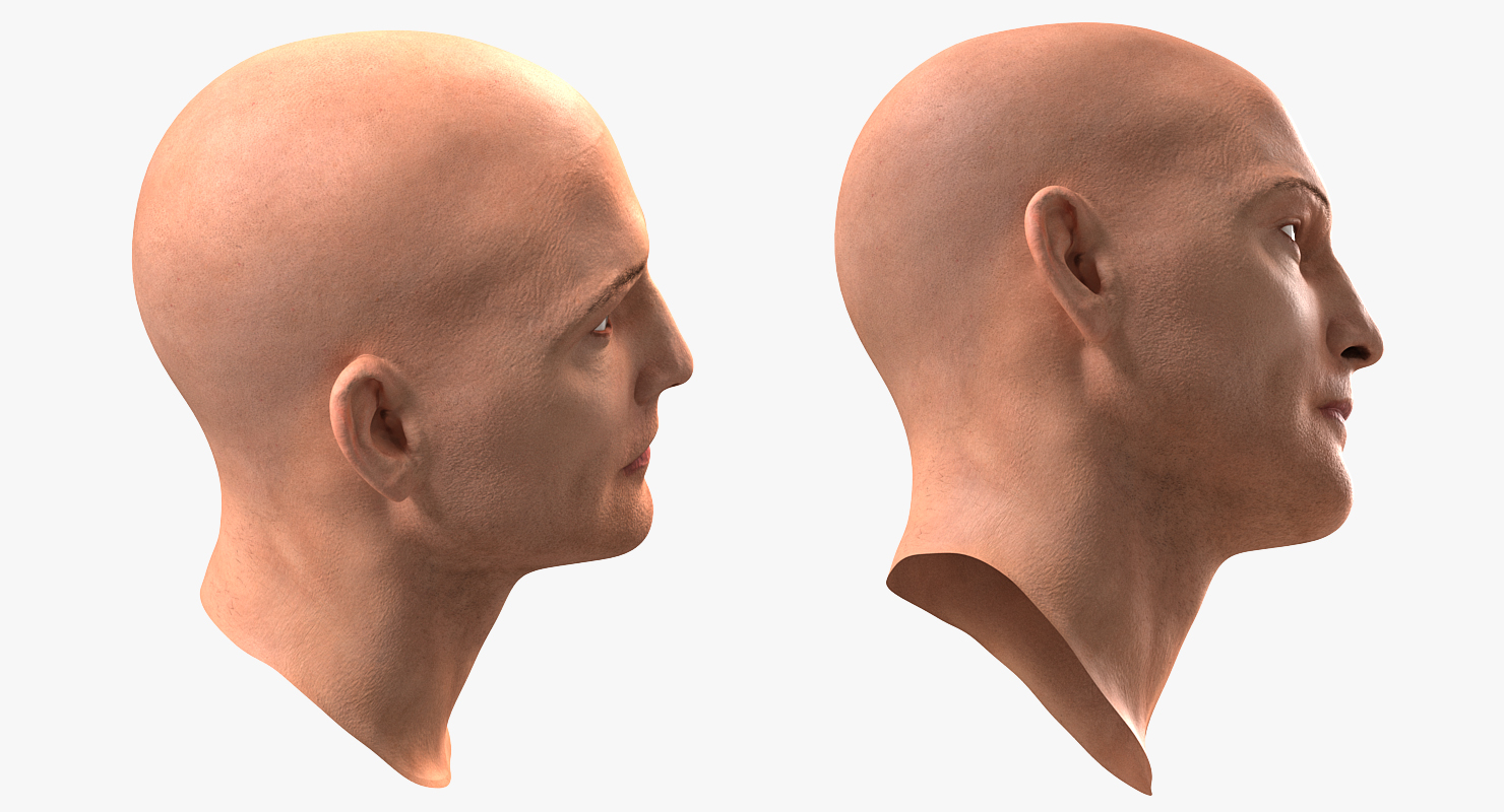3D Male Head 6 Rigged model